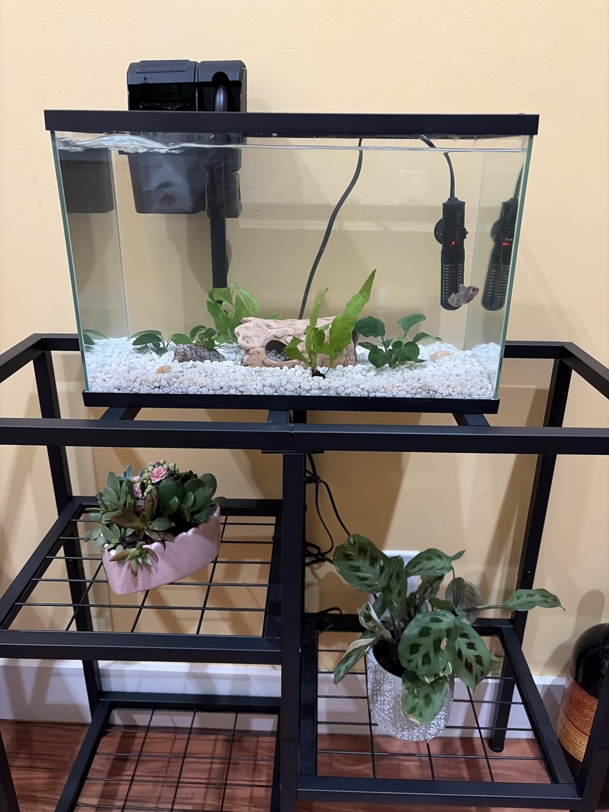 CADUKE Aquarium Stand 20 Gallon, Metal Fish Tank Stand, Aquarium Rack Stand for Fish Tank Accessories, 3 Tier Turtle Reptile Terrarium Stand for Living Room Office customer photo 2