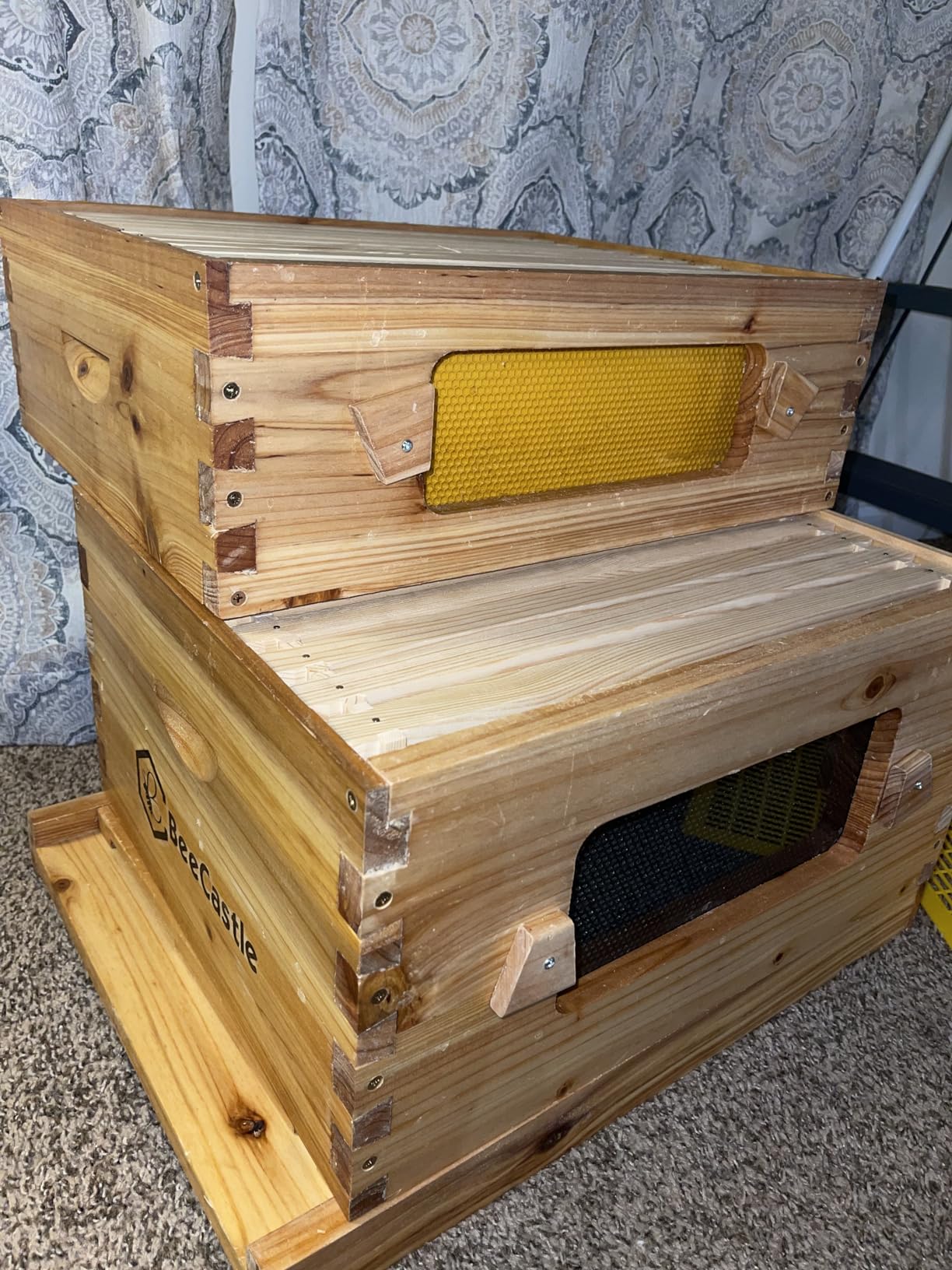 BeeCastle 10-Frame Langstroth Beehive with Windows, Beeswaxed Coated Bee Hive for Beginners with Beehive Frames and Waxed Foundations (2 Deep Bee Boxes & 1 Medium Super Bee Box) customer photo 2