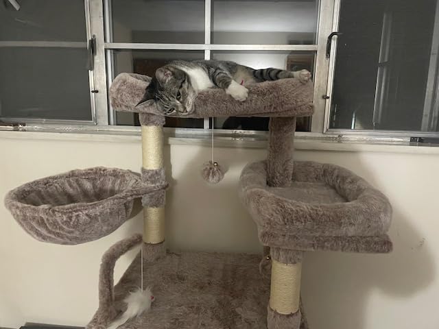Gitelsnour Cat Tree, Cat Tower for Large Cats with 2 Big Platforms, 2 Baskets, condo and Toys, 63