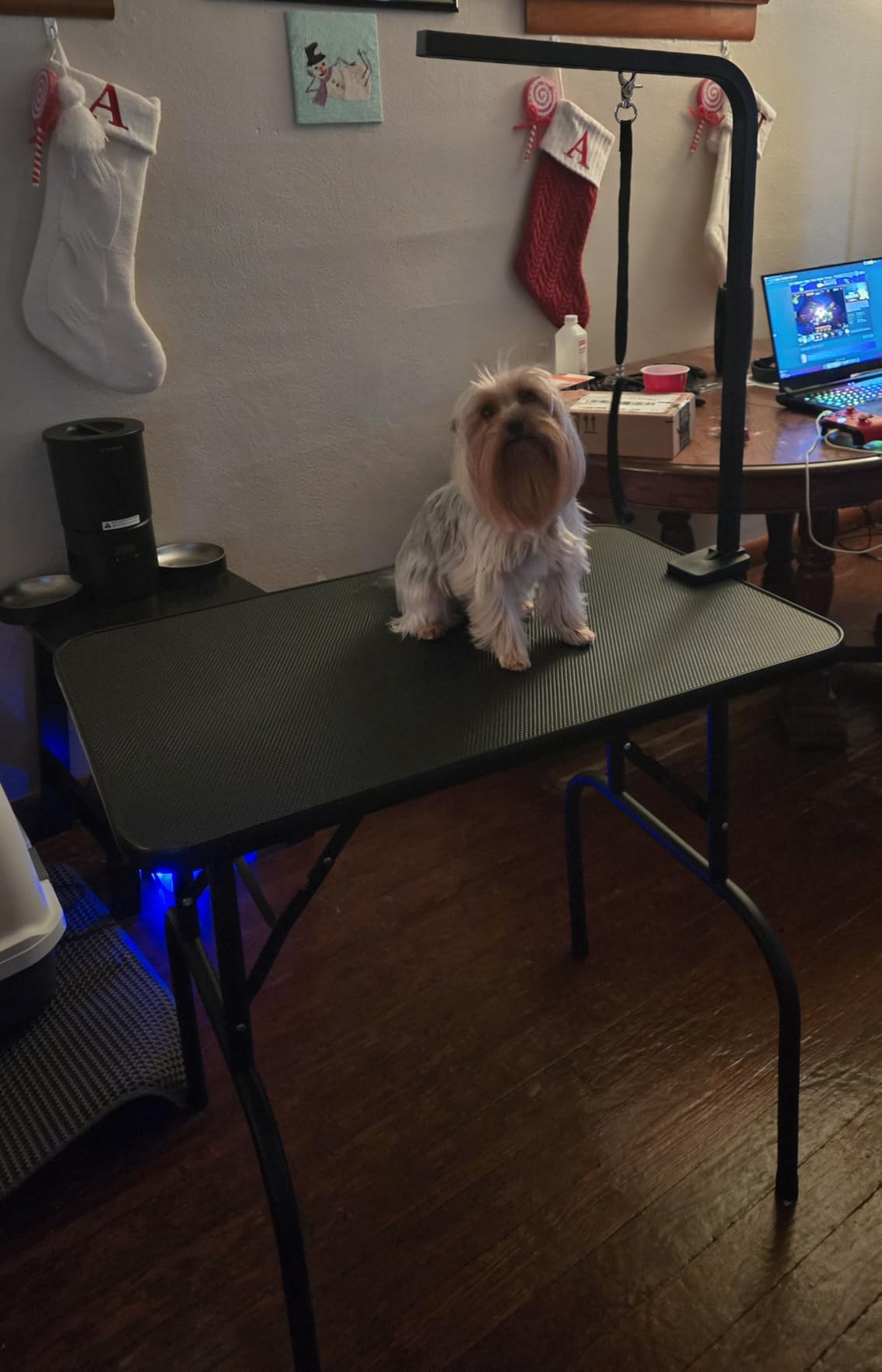 ROOMTEC 46 Inch Dog Grooming Table, Foldable Pet Grooming Tables at Home with Adjustable Arm, Nooses, Mesh Tray customer photo 1