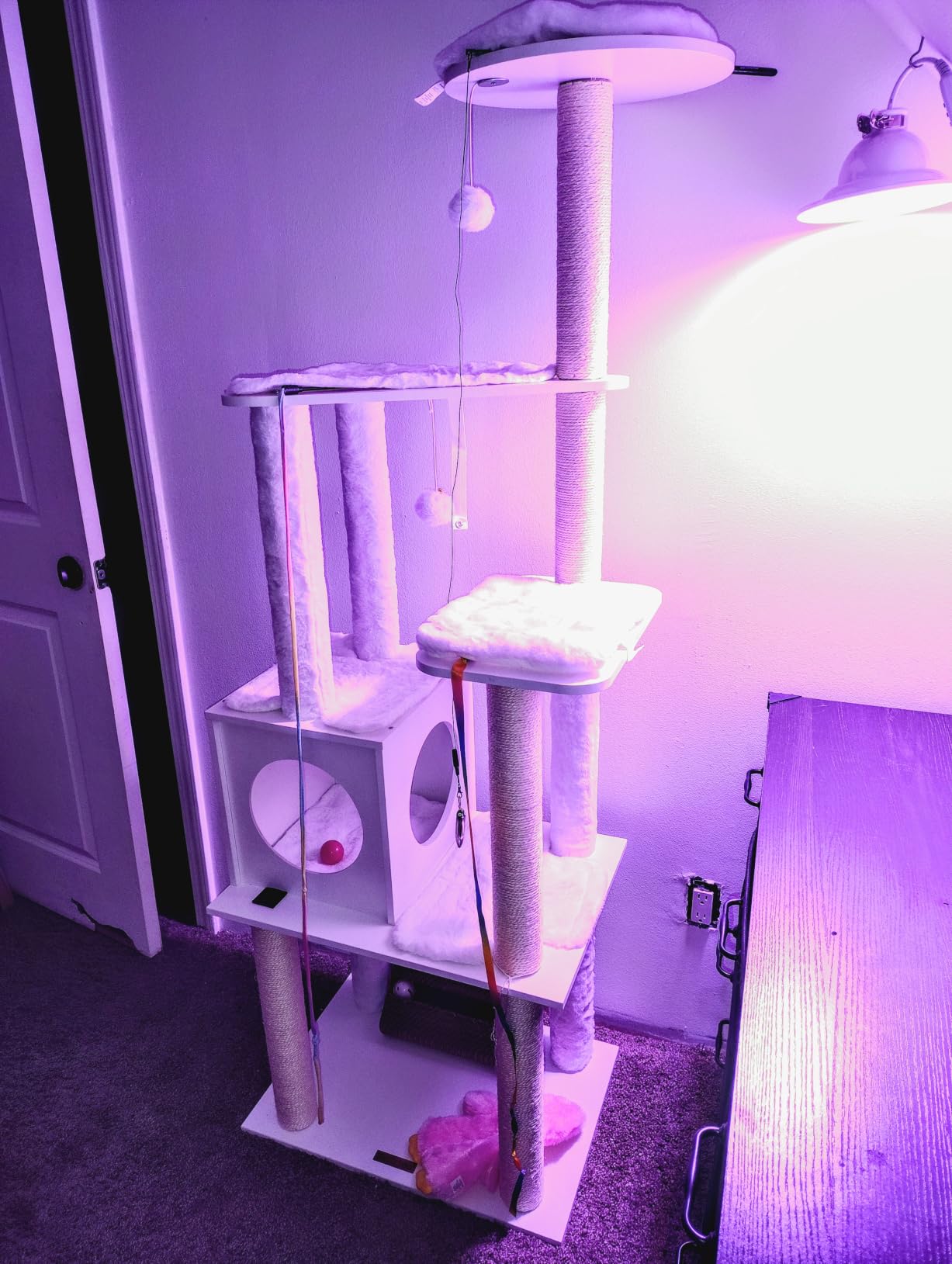 Feandrea Cat Tree, 65-Inch Modern Cat Tower for Indoor Cats, Multi-Level Cat Condo with 5 Scratching Posts, Perch, Washable Removable Cushions, Cat Furniture, Cloud White UPCT166W01 customer photo 1