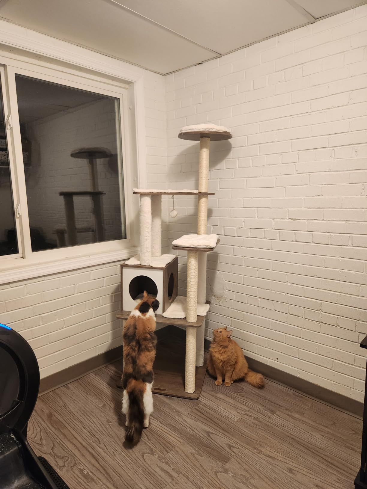 Feandrea Cat Tree, 65-Inch Modern Cat Tower for Indoor Cats, Multi-Level Cat Condo with 5 Scratching Posts, Perch, Washable Removable Cushions, Cat Furniture, Cloud White UPCT166W01 customer photo 2