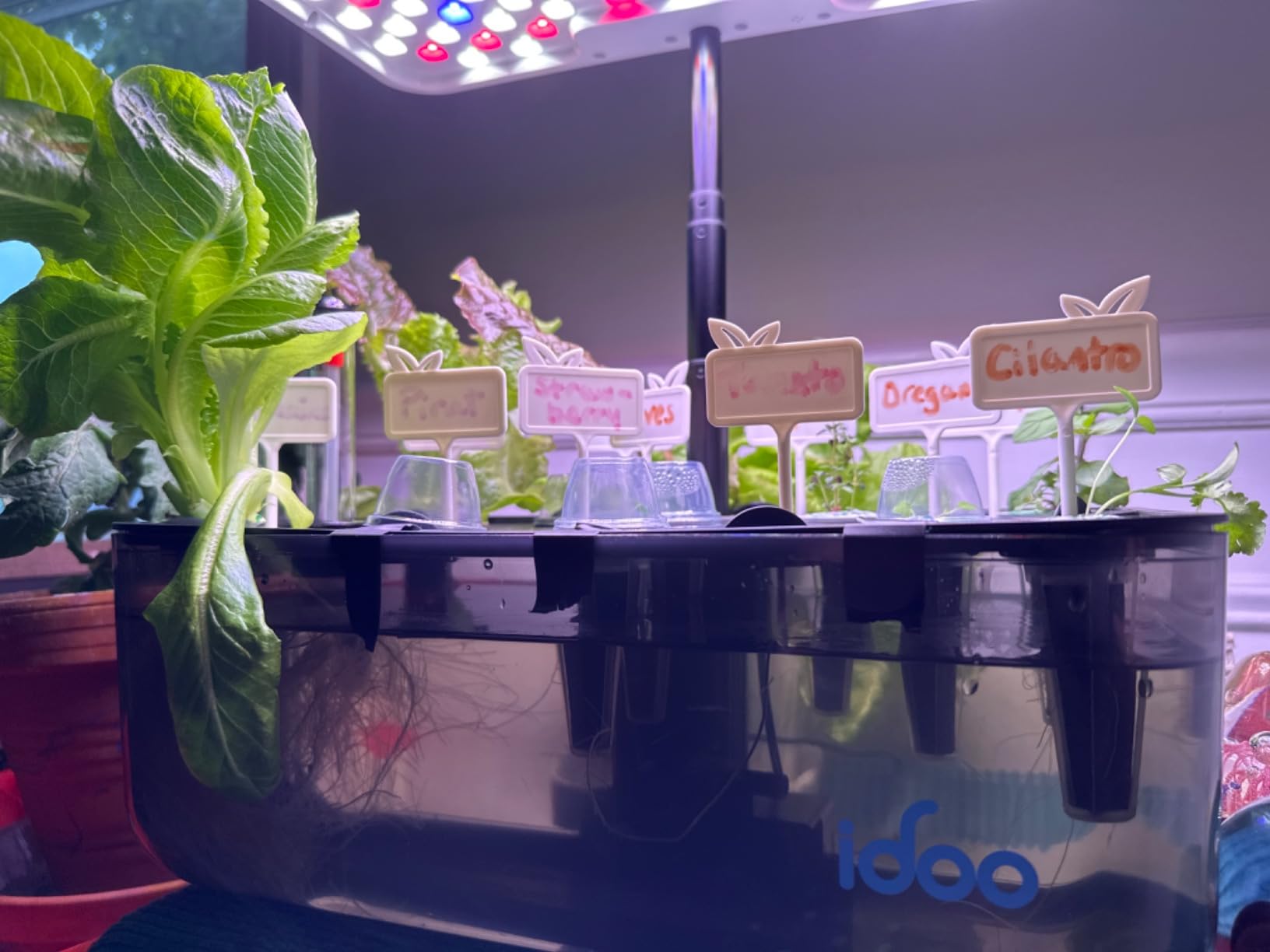 iDOO Hydroponics Growing System with 12 Pods Kit & LED Grow Light | Indoor Herb Garden with 5L Transparent Water Tank, Self Watering, Auto-Timer, Adjustable Height customer photo 1