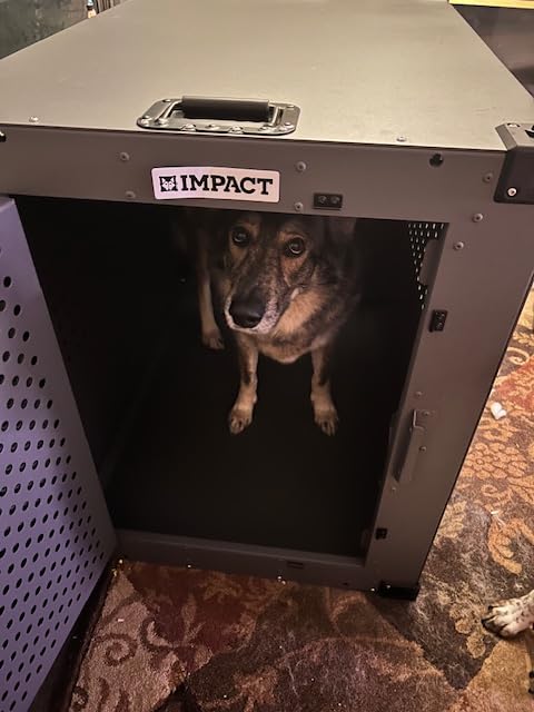 Impact High Anxiety Dog Crate - Escape Proof Kennel (Gray, 30