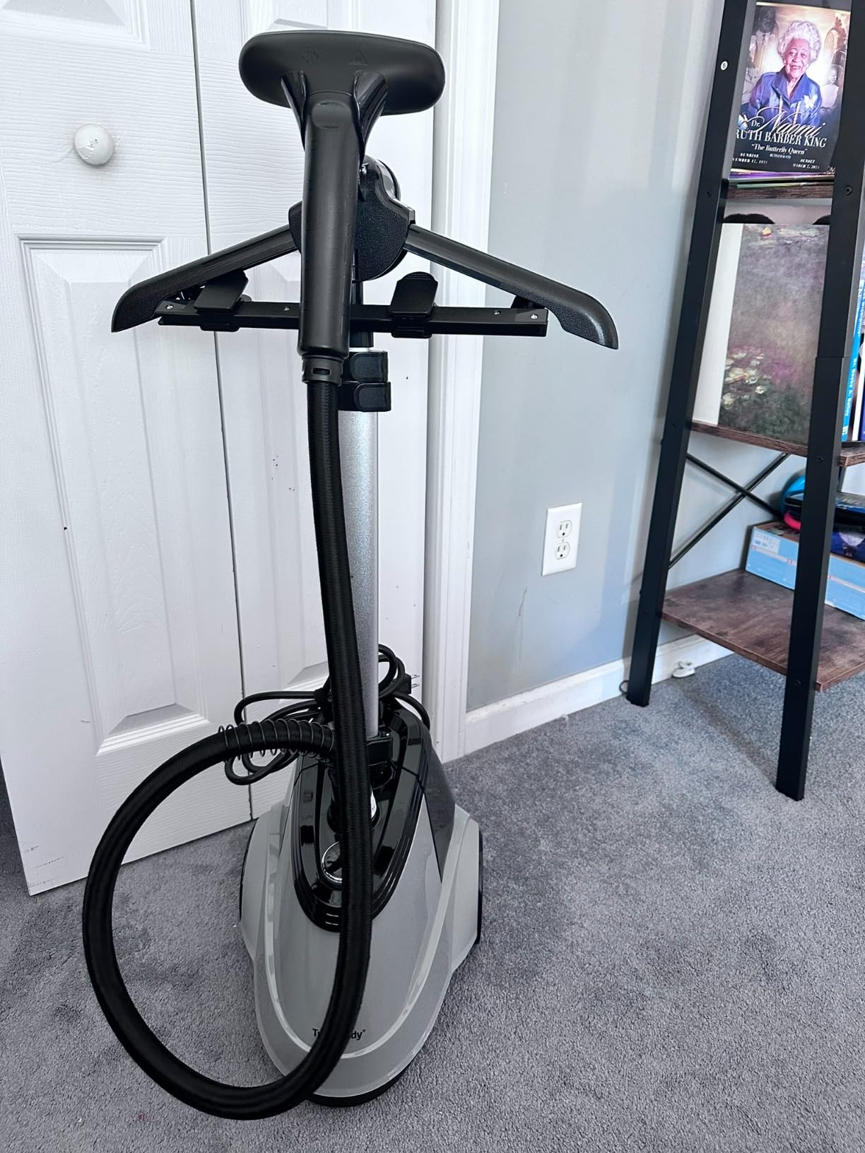 True & Tidy Heavy-Duty Garment Steamer w/ 3 Settings, 3L Water Tank, 1800W customer photo 1