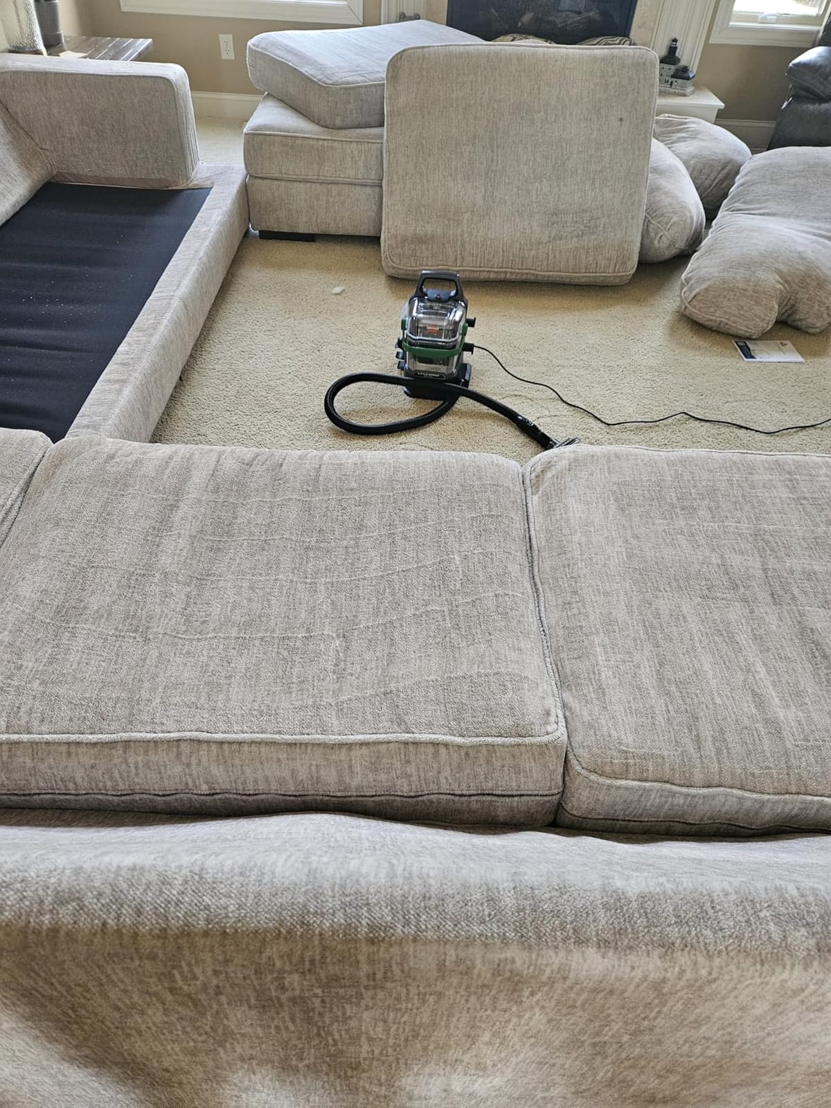 BISSELL Little Green Pet Pro Portable Carpet Cleaner, 3909 customer photo 1