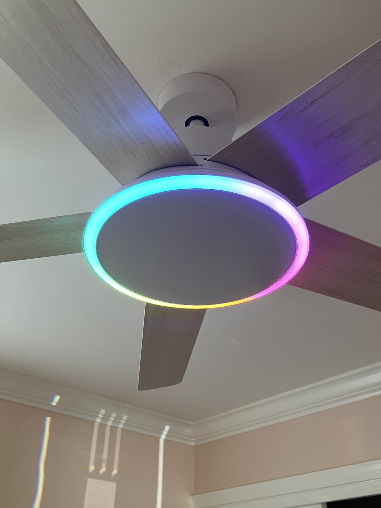 DREO Smart Ceiling Fan with Lights, 52 Inch, 12 Speeds & 3 Fan Modes, RGBIC Light for Living Room, Dimmable, 22dB Quiet DC Motor, Remote/APP/Alexa Control, White Ceiling Fans Indoor, 2026 Upgraded customer photo 2