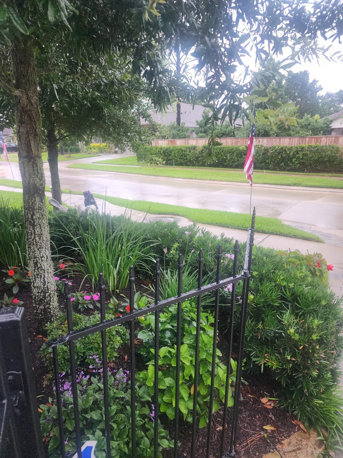 Decorative Metal Garden Fence 36