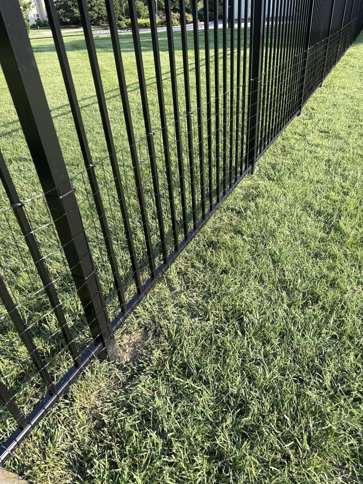 Green PVC Coated Welded Wire Fence 24