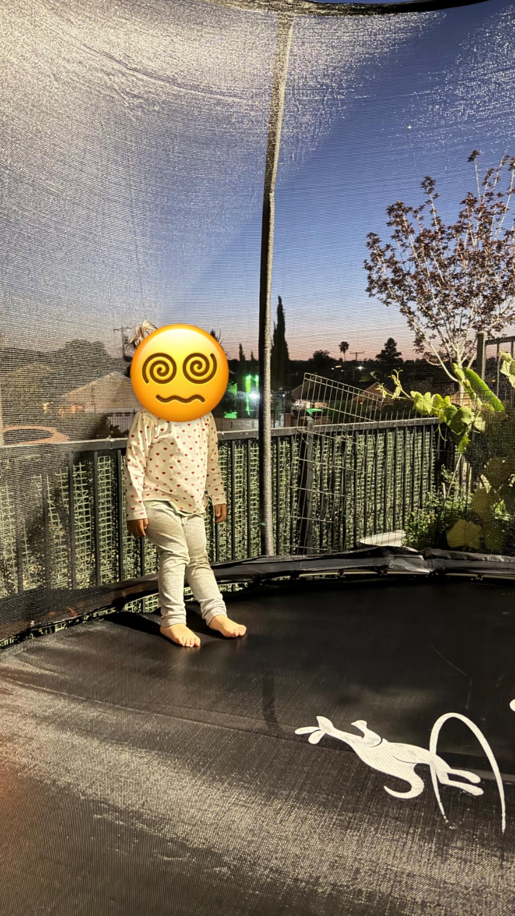 JELENS Trampoline 8FT-16FT, Recreational Trampolines with Enclosure Net, Outdoor Anti-Rust Trampolines for Kids and Adults customer photo 2