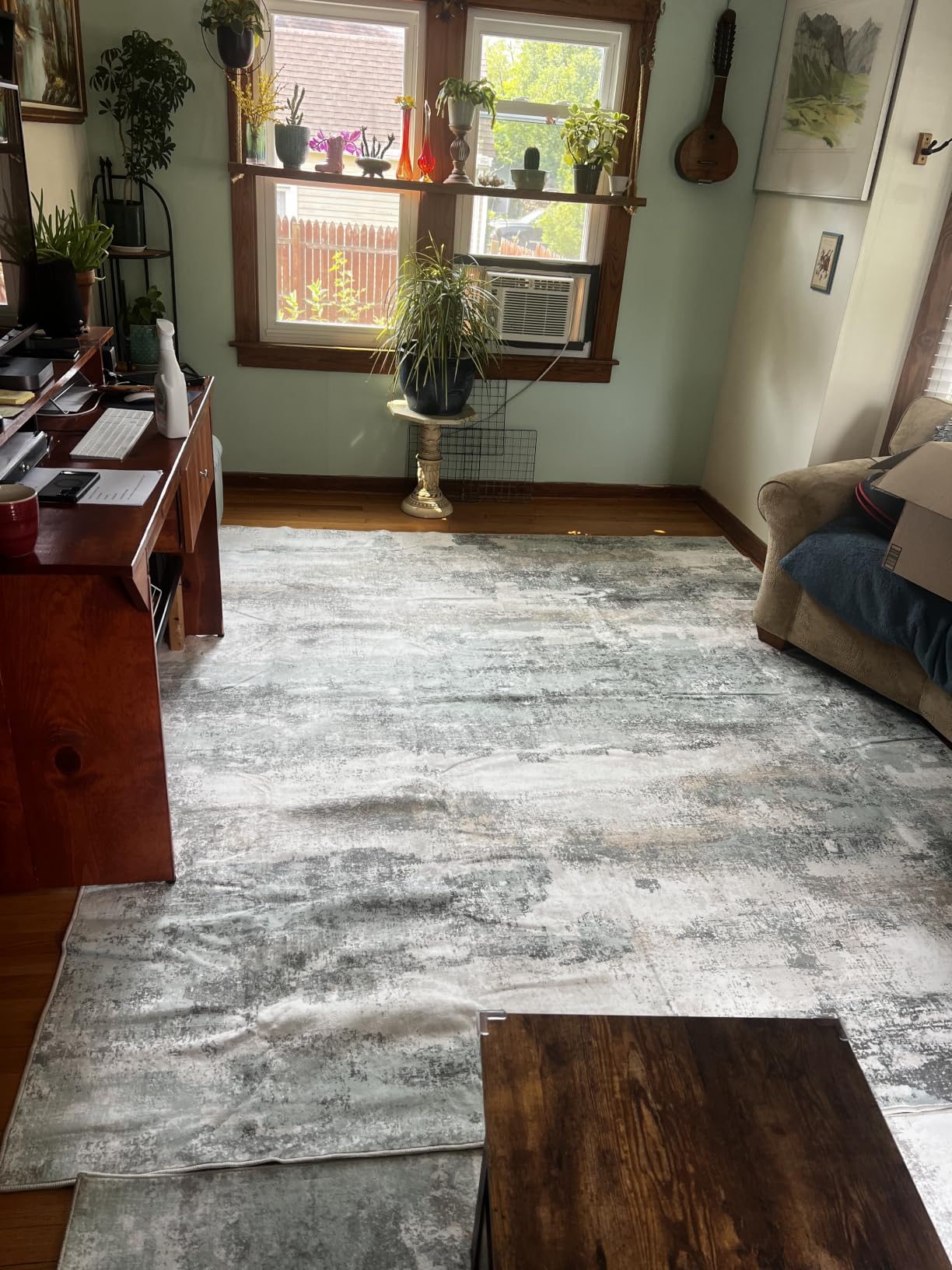 BEIMO 8x10 Green Abstract Area Rug, Washable Non-Slip for Bedroom | Soft Low-Pile Carpet, Lightweight and Easy to Vacuum, Sage Living Rooms, Dining Rooms, Bedrooms, and Home Offices customer photo 1