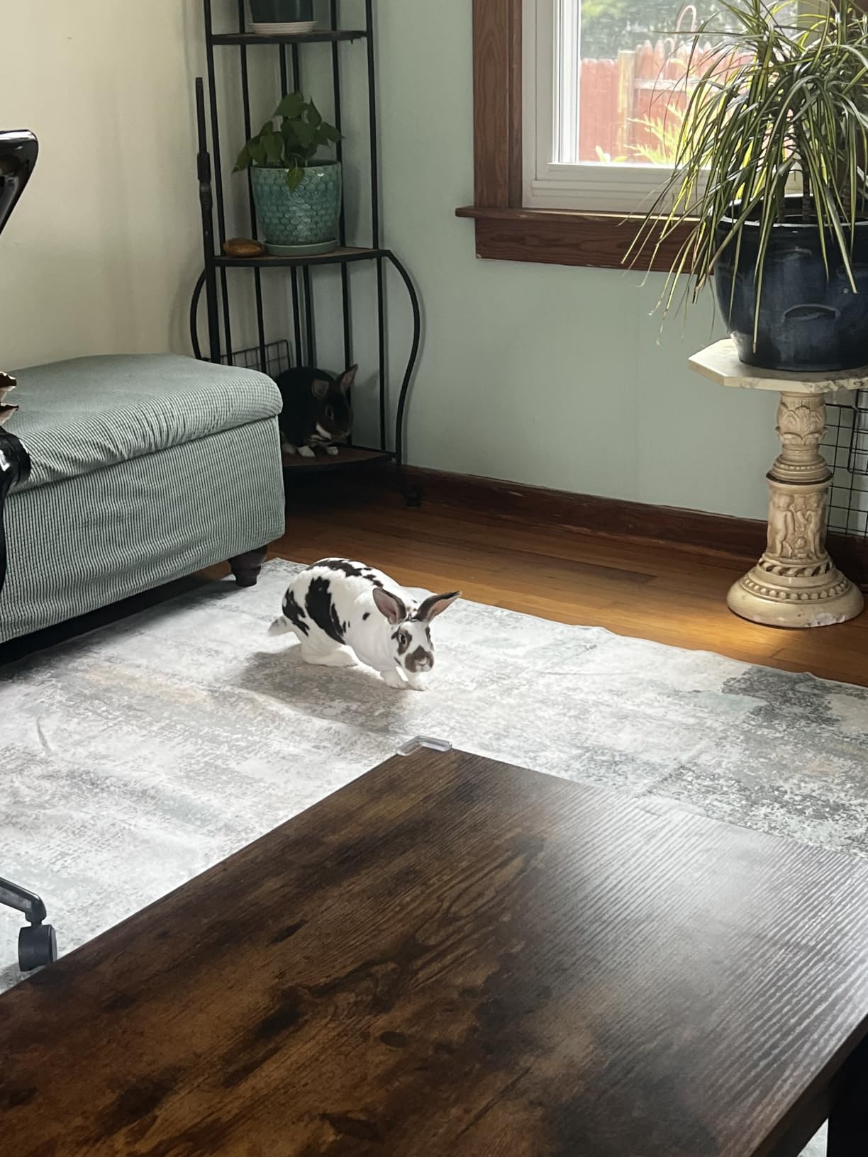 BEIMO 8x10 Green Abstract Area Rug, Washable Non-Slip for Bedroom | Soft Low-Pile Carpet, Lightweight and Easy to Vacuum, Sage Living Rooms, Dining Rooms, Bedrooms, and Home Offices customer photo 2