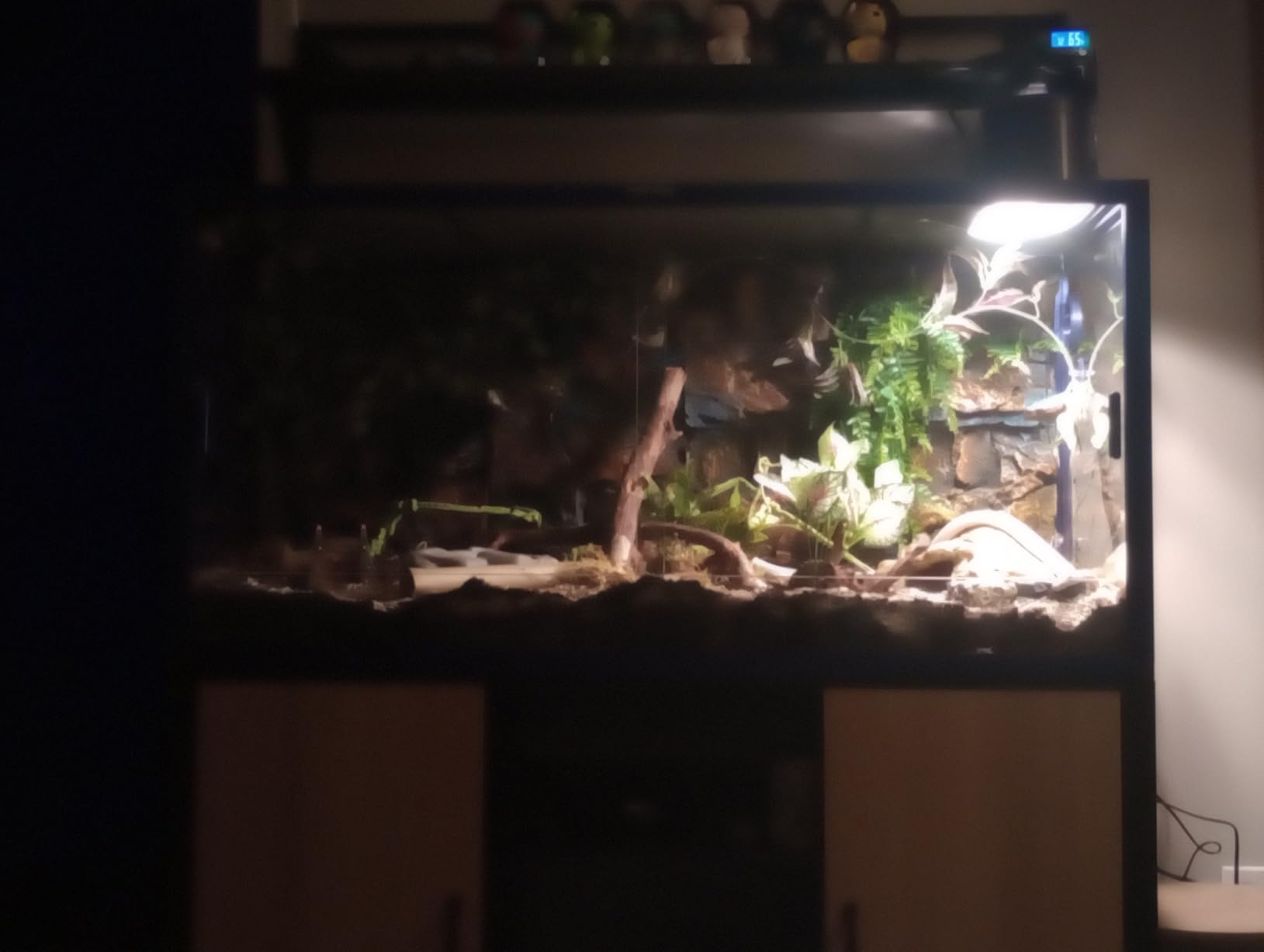 Phailozoo Stackable 50 Gallon Reptile Enclosure for Gecko, Juvenile Reptile | Adding Vibrant Fun for Your Home, Anti-fingerprint Tempered Glass Door with Handles Easy to Feed & Clean customer photo 2