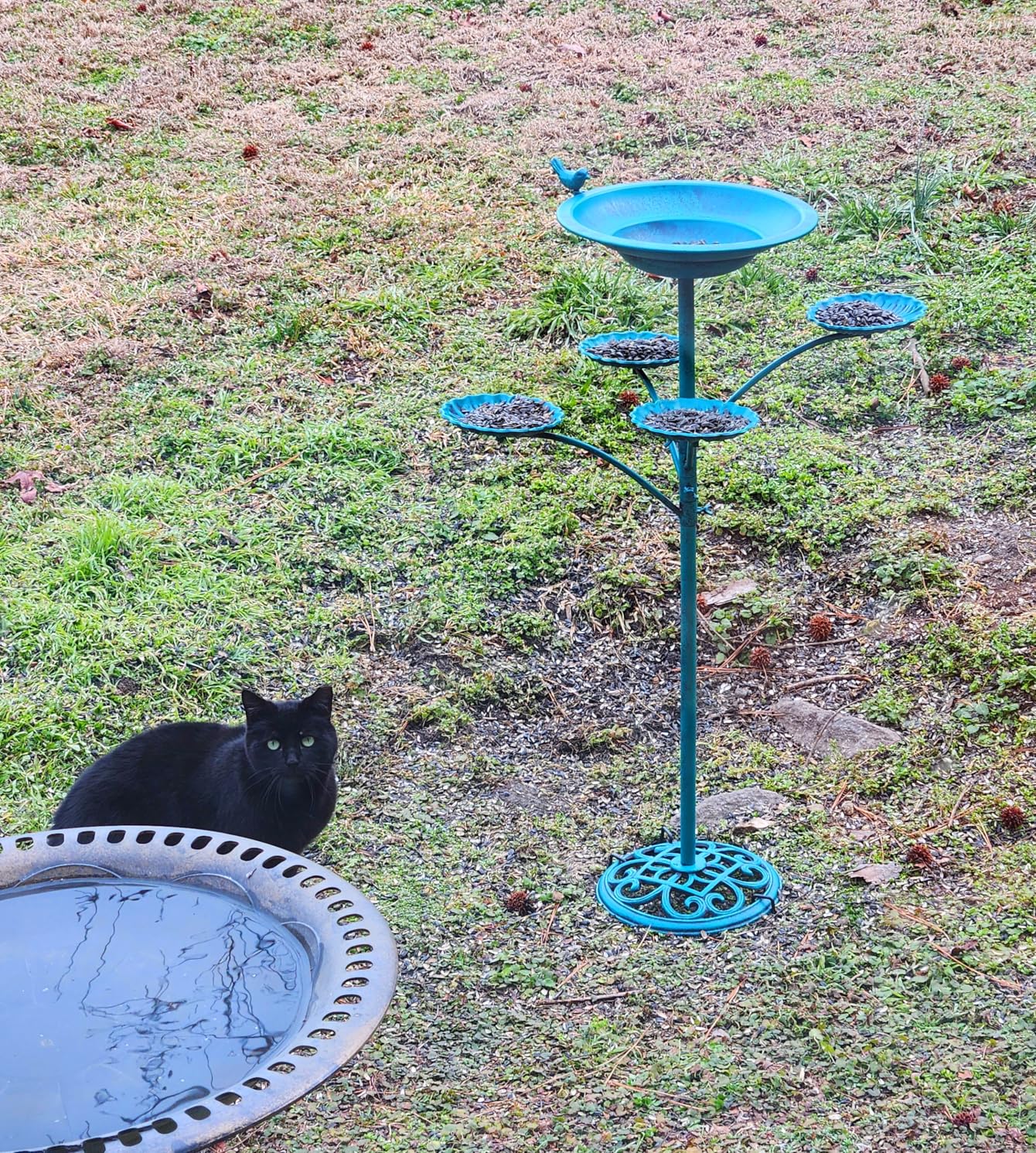 HOUYANG Solar Fountain Bird Bath, Metal Bird Bath Bubbler, Outdoor Bird Bath Bowl, for Outdoors Garden Patio Decor customer photo 2
