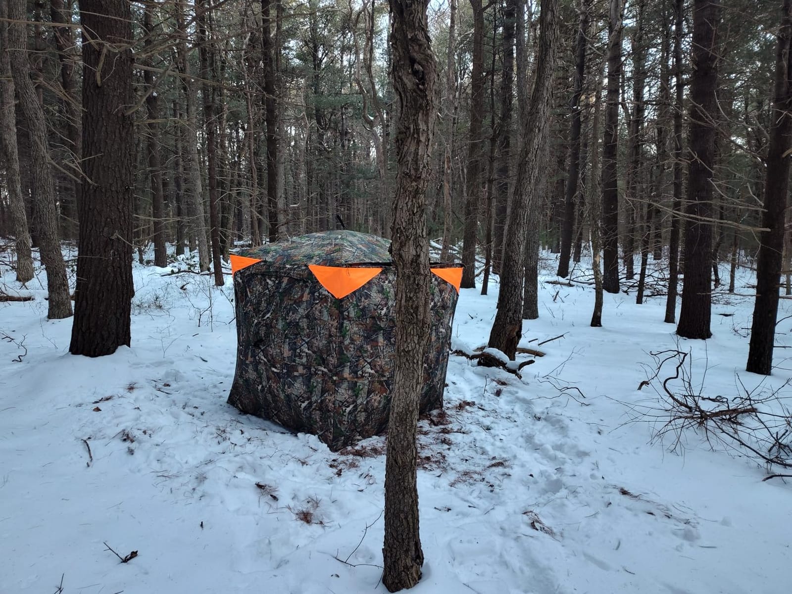 TIDEWE Hunting Blind 360 See Through, Pop Up Ground Blind with Large Door | Pop Up Tent with Large Door, Removable Curtain & Portable Carrying Bag, Quiet Sliding Windows for Deer Turkey Hunting customer photo 2