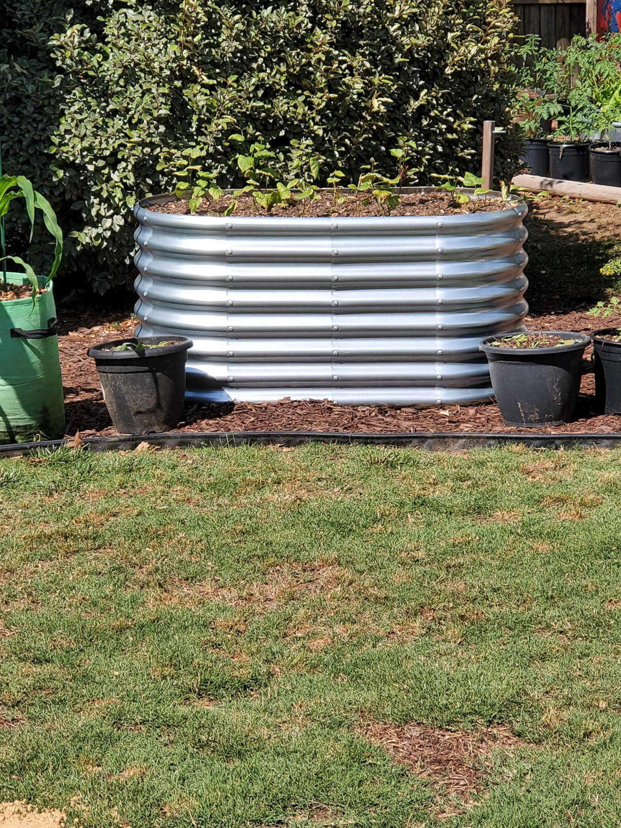 Land Guard Galvanized Raised Garden Bed, 8x4x2ft Planter Boxes Outdoor, Oval Larger Metal Planter Boxes for Vegetables, Fruits, Flowers (Silver) customer photo 2