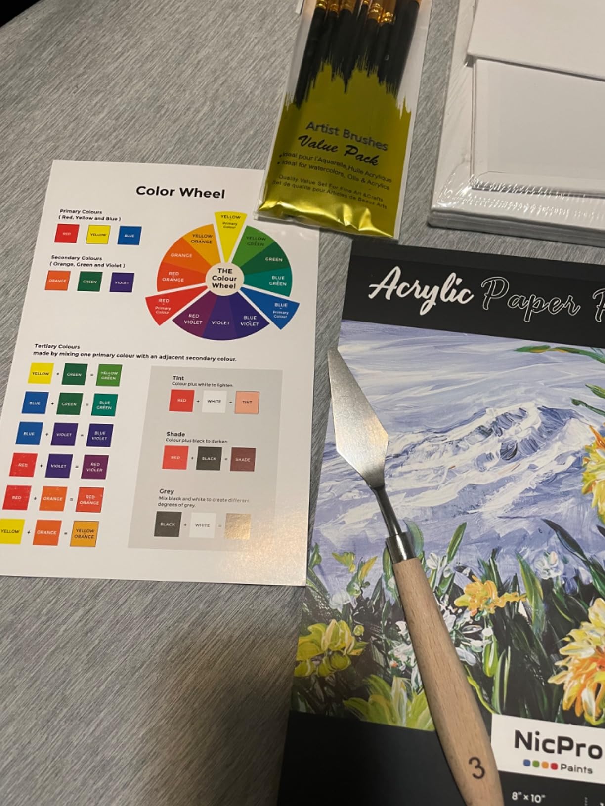 Nicpro 80PCS Acrylic Paint Canvas Set for Adults with 36 Paints (36ML) customer photo 2