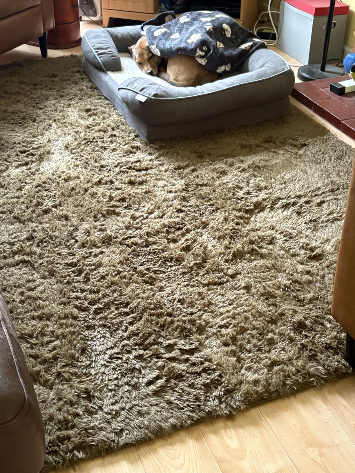 OLANLY Area Rugs for Living Room Bedroom, Machine Washable 4x5.9 ft Soft Fluffy Shaggy Bedside Rug, Indoor Floor Carpet for Kids Girls and Boys, Dorms, Nursery Rooms, Home Decor Aesthetic, Pink customer photo 1