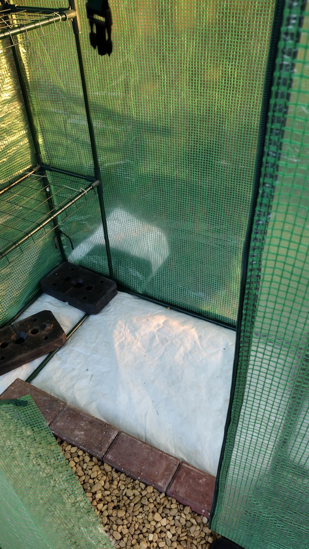 VEVOR Walk-in Tunnel Greenhouse, 9.6x6.4x6.2 ft Hoop House Greenhouse Tunnel, Plant Hot House with Galvanized Steel Frame, White PE Cover, Roll-up Zipper Door and 6 Windows for Outdoor customer photo 1