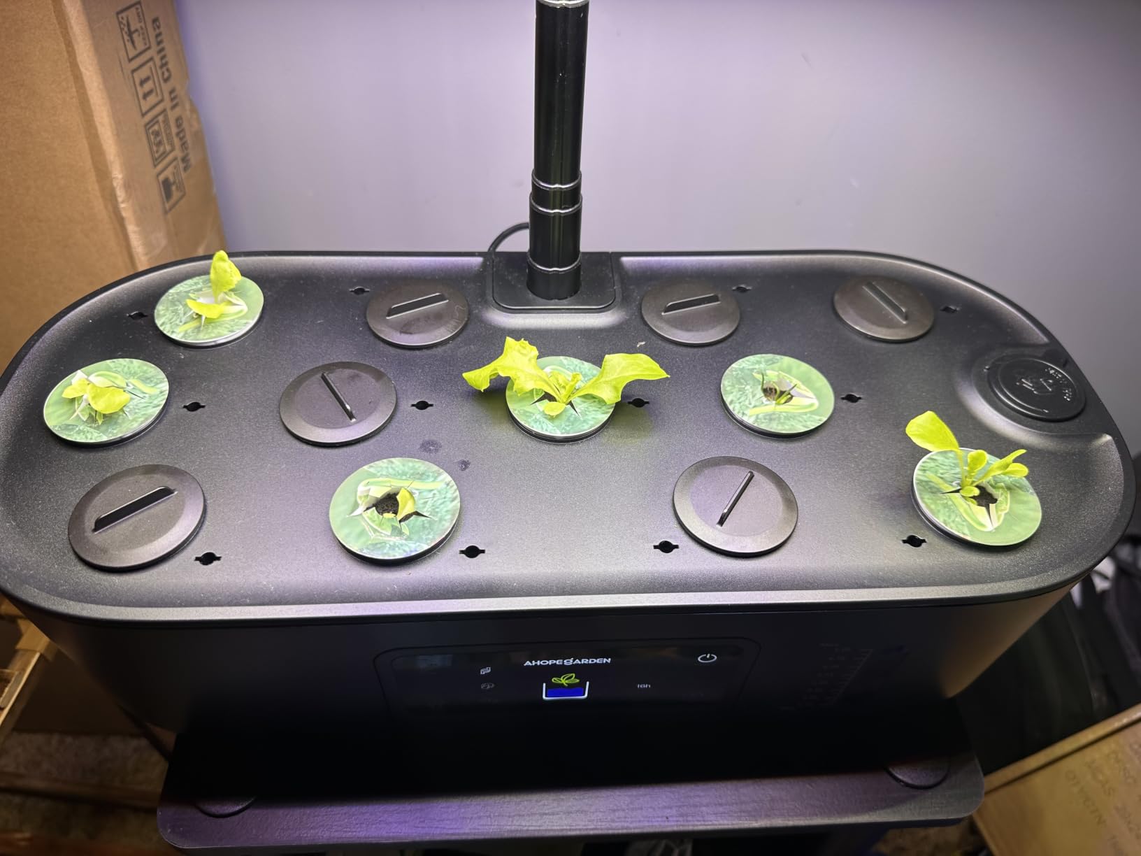 Ahopegarden Hydroponics Growing System Kit: 12 Pods with LCD Control Panel | Indoor Herb Garden with Grow Light, Planting Height Up to 17 inches customer photo 2