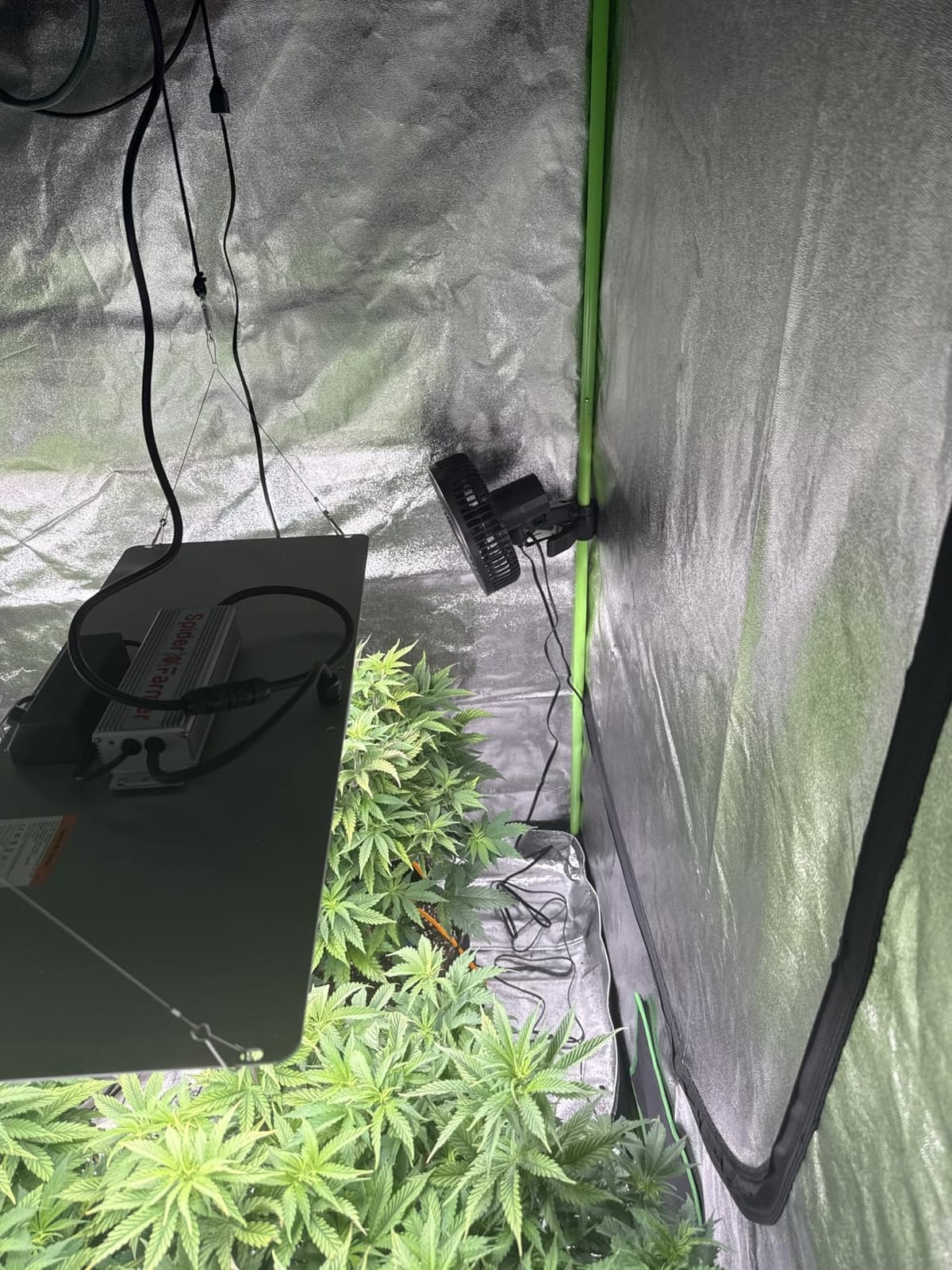 Spider Farmer GGS AC5 Power Strip Kits 5 AC APP-Based Controls Outlets | with 3 in 1 Soil Sensor, Temp Humid Light Sensor, Light Adapter, 10-Port Pro Adapter, for Indoor Grow Tent Garden Plant Room customer photo 1