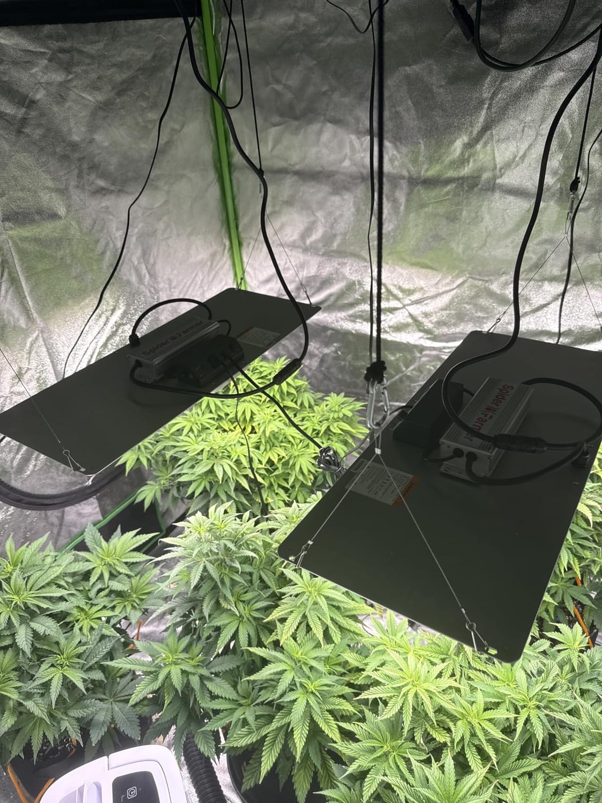 Spider Farmer GGS AC5 Power Strip Kits 5 AC APP-Based Controls Outlets | with 3 in 1 Soil Sensor, Temp Humid Light Sensor, Light Adapter, 10-Port Pro Adapter, for Indoor Grow Tent Garden Plant Room customer photo 2