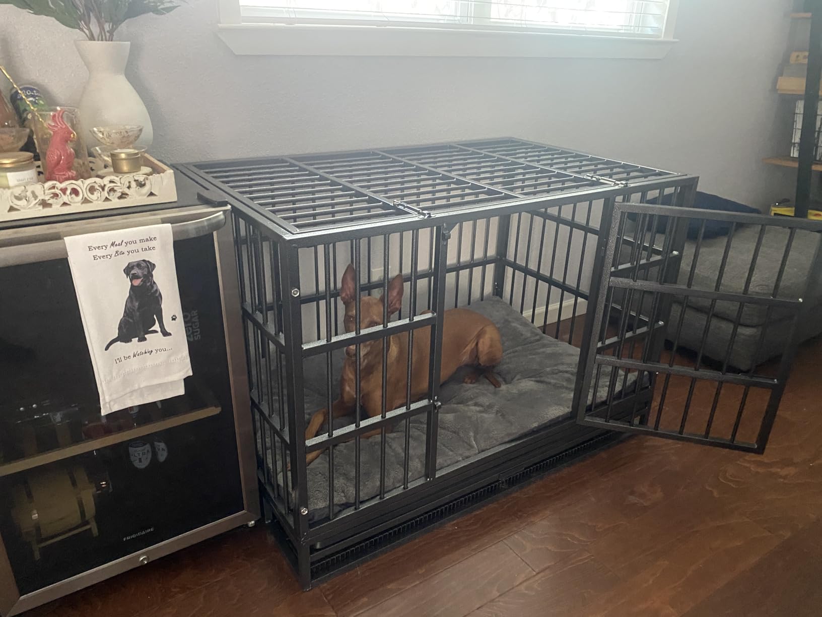 Oranland 48-Inch Heavy Duty Dog Crate for Large Dogs | Indestructible Dog Cage with Escape-Proof Lock,Double Doors,Secure Locks,Removable Wire Tray for High Anxiety Dogs customer photo 2