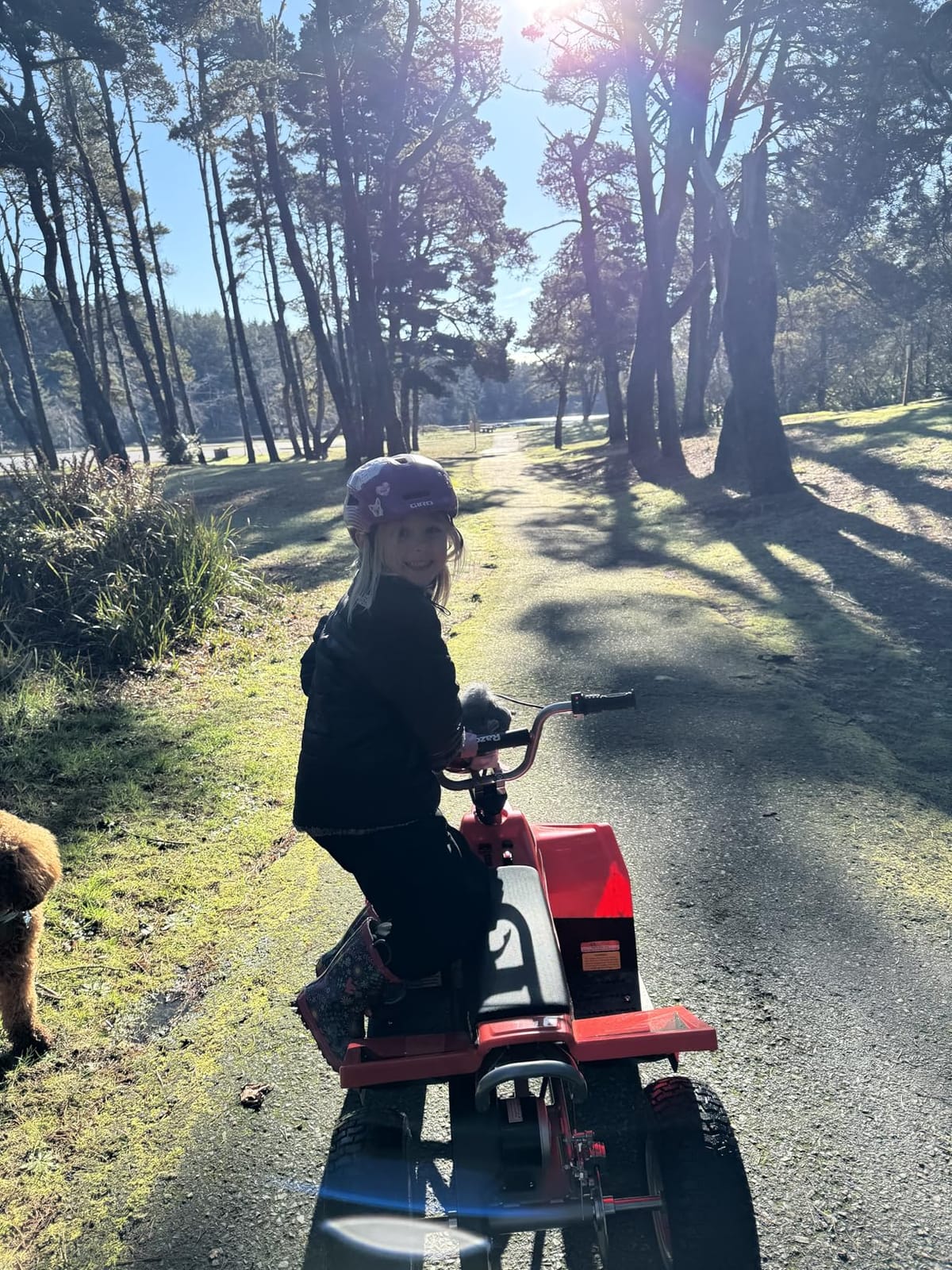 Razor Dirt Quad - 24V Electric 4-Wheeler Ride-On for Kids 8+, Twist-Grip Variable-Speed Acceleration Control, Up to 8 MPH, Forward/Reverse Drive Mode customer photo 2