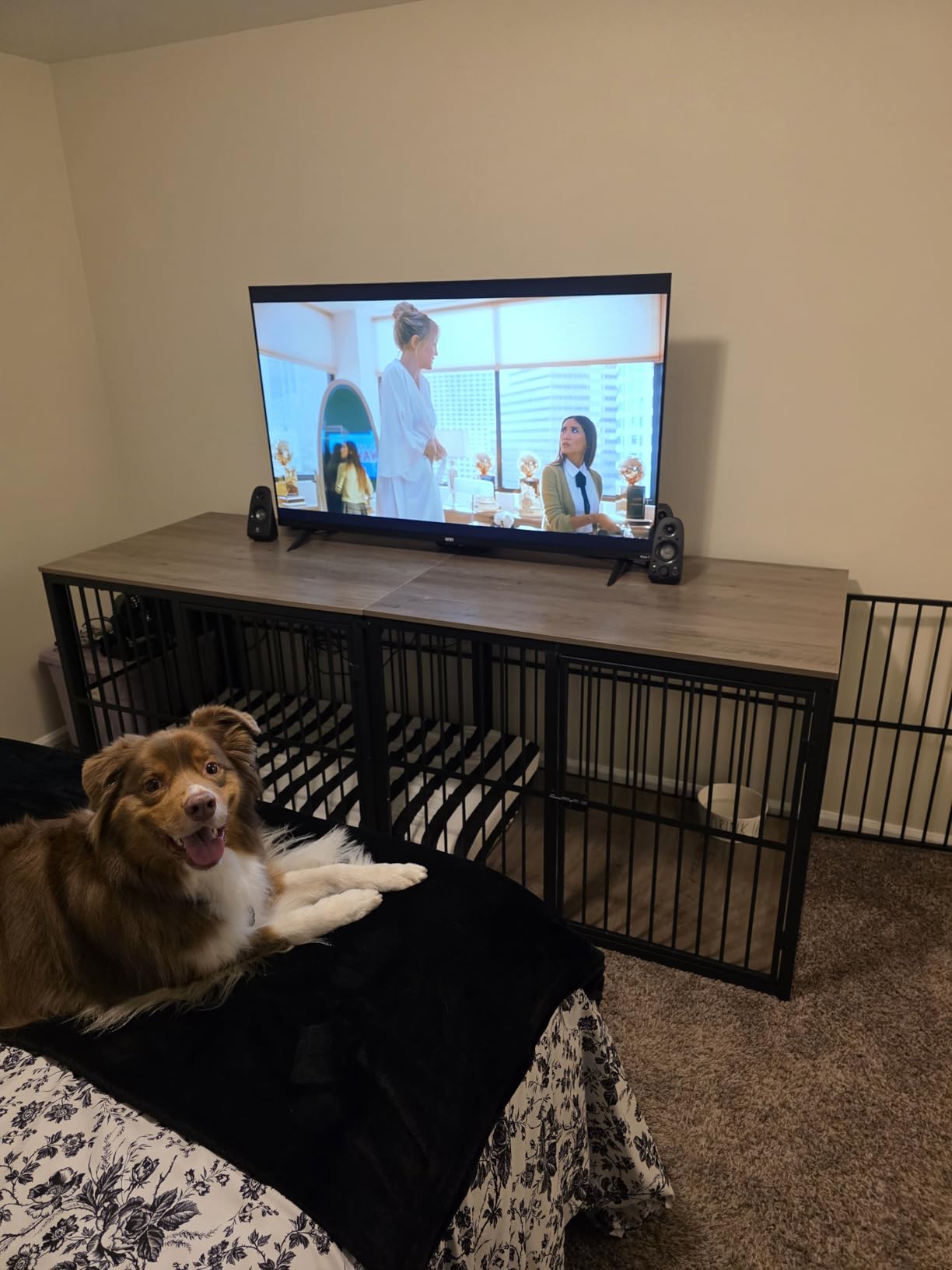 Lyromix 48'' XXL Dog Crate Furniture with 3 Doors for Large Dogs | Wooden Kennel End Table, Heavy Duty Indoor Cage for Golden Retriever Labrador, Multiple Units Can be Combined, Grey customer photo 2