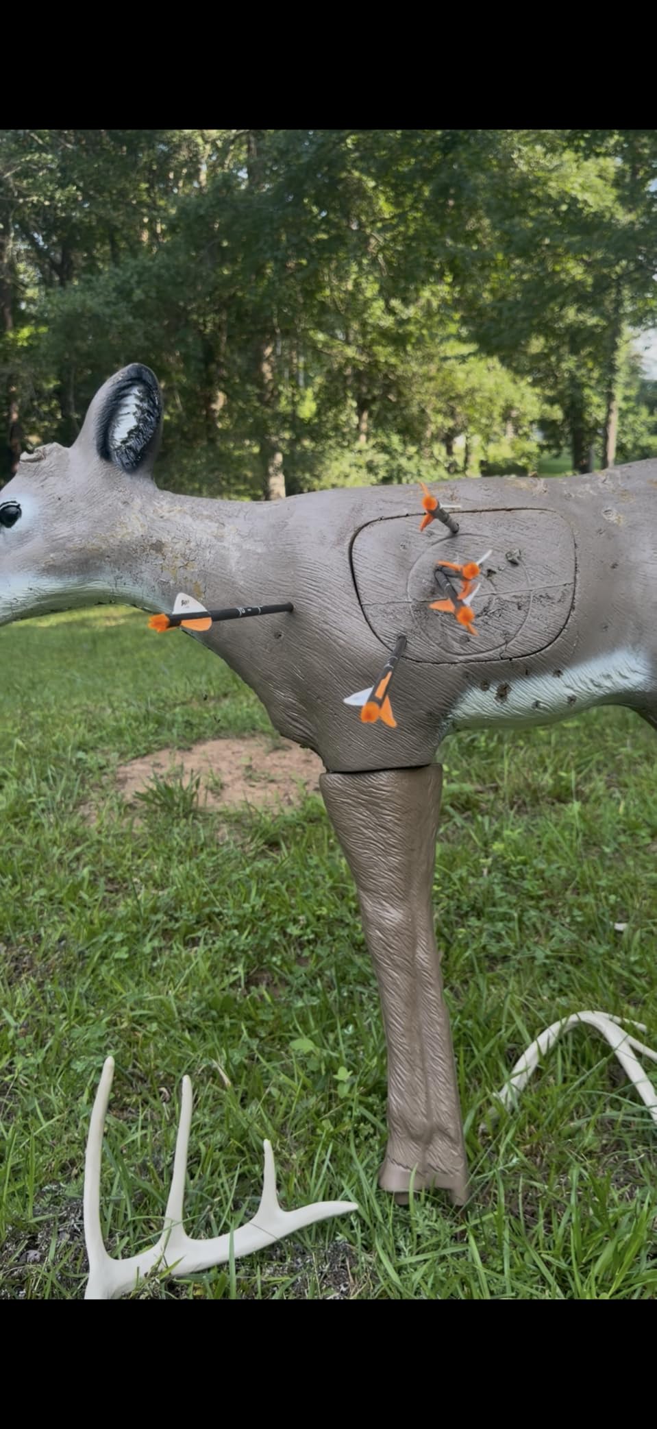 Bear Archery Species XT Ready to Hunt Compound Archery Bow customer photo 2
