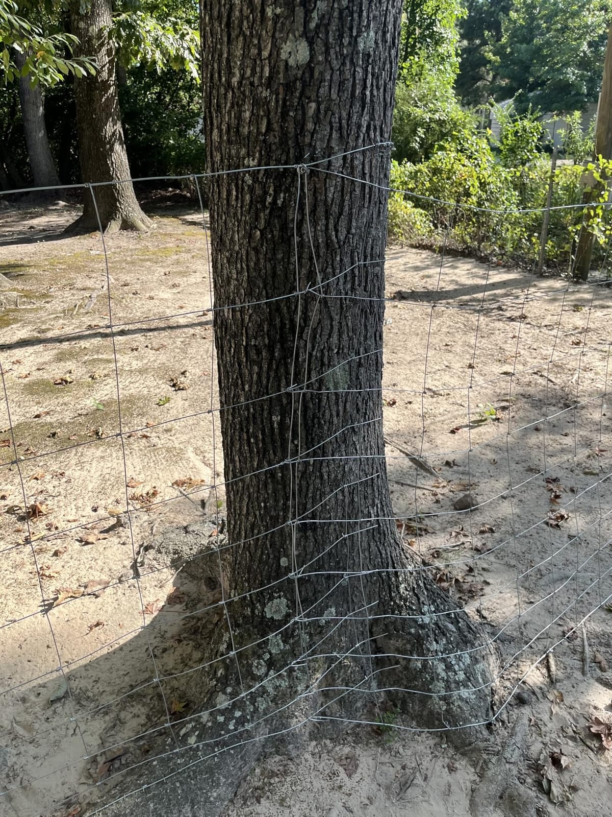 Farm Fence, 4ft X 164ft Wire Fence, Goat Cattle Deer Livestock Fence, Galvanized Woven Hog Wire Fencing,Fencing for Yard and Animals Protection customer photo 1