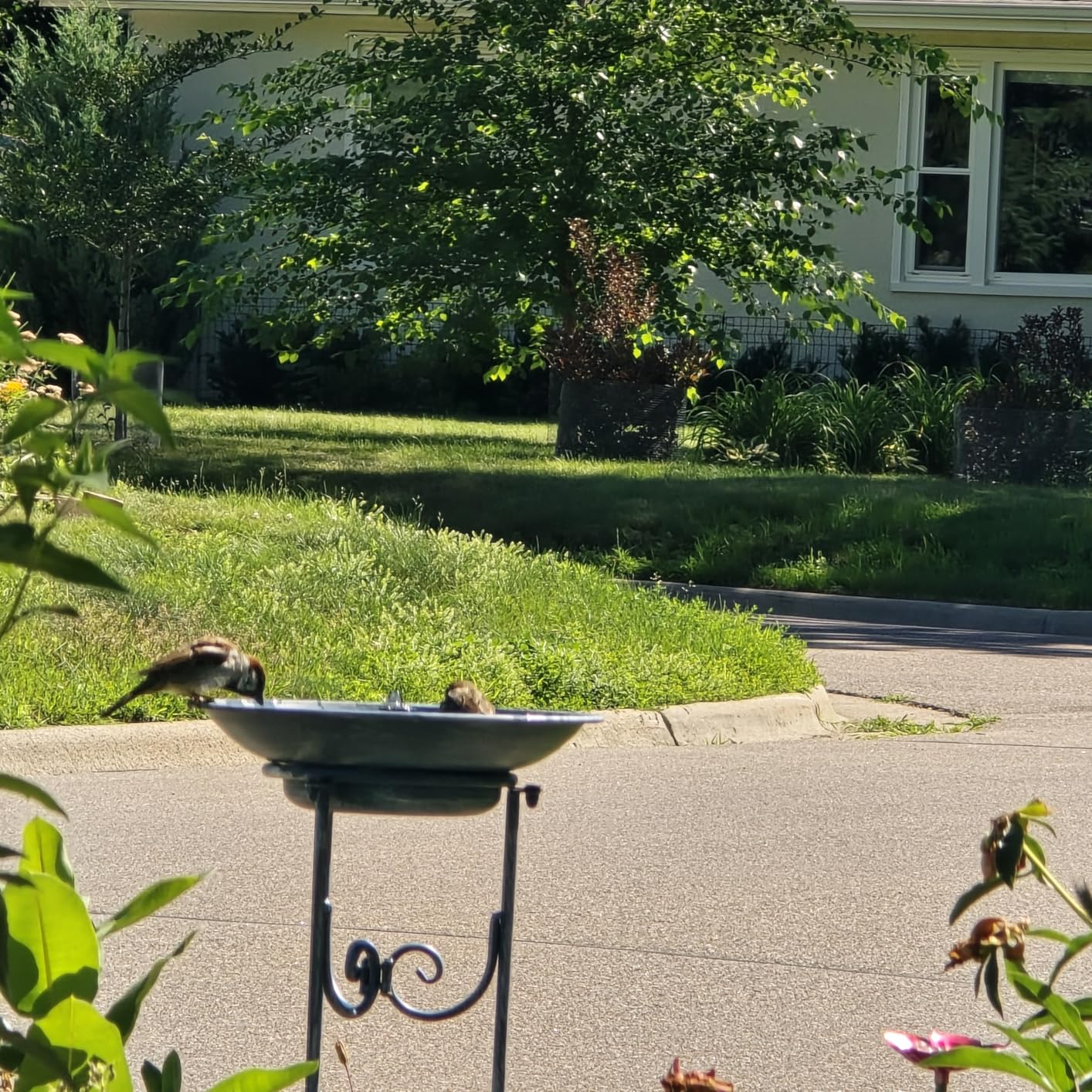 Multifunctional Solar Bird Bath for Outside, Metal Birdbath Stand and Solar Fountain Bird Bath Bubbler Combo Set, Solar Birdbaths for Outdoors Garden Lawn Yard Decor (Blue) customer photo 1