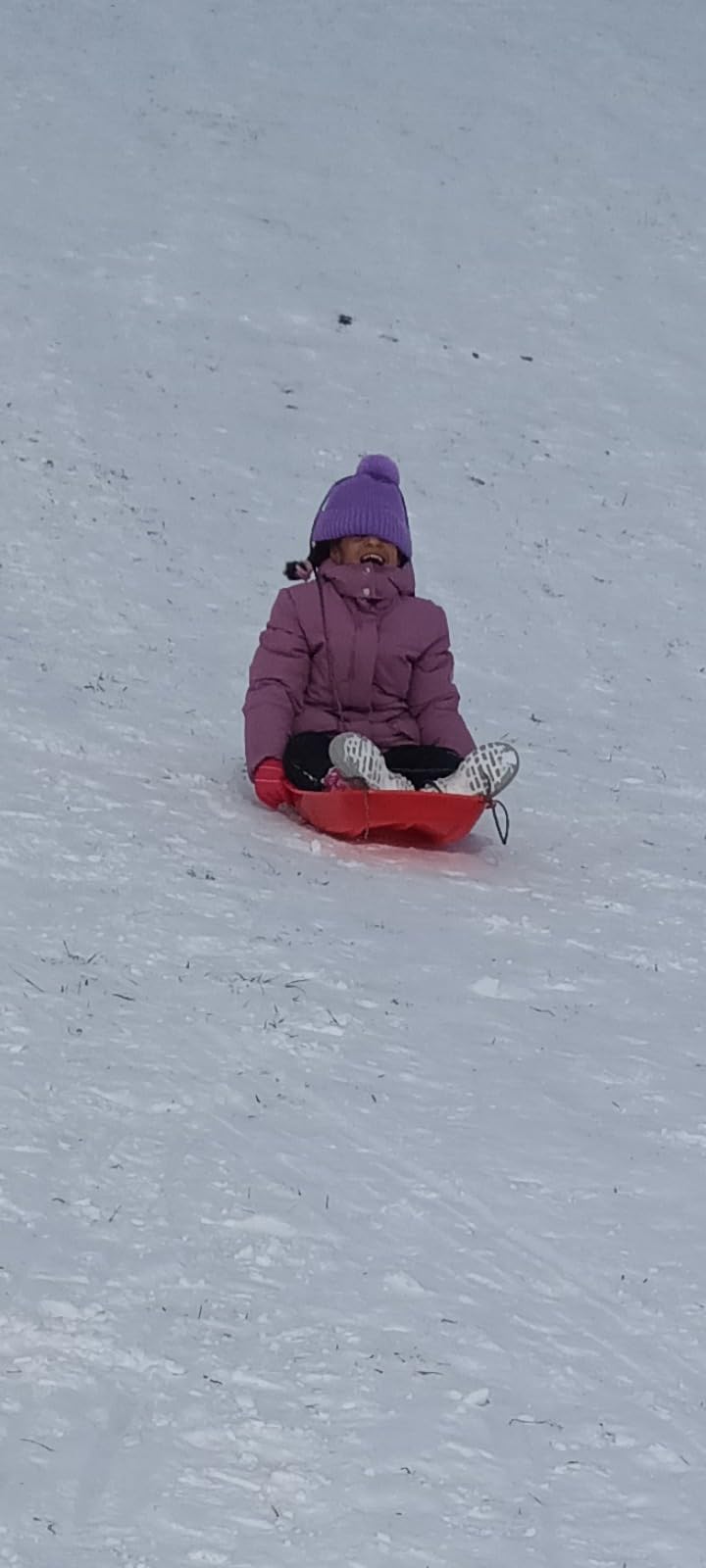 Snow Sled for Kids with 16.5ft Pull Rope & Handle - Cold-Resistant Plastic Toboggan Sled for Winter Downhill Fun - Stackable Lightweight Sled for Adults Outdoor Snow Play (25/36/48in) customer photo 2