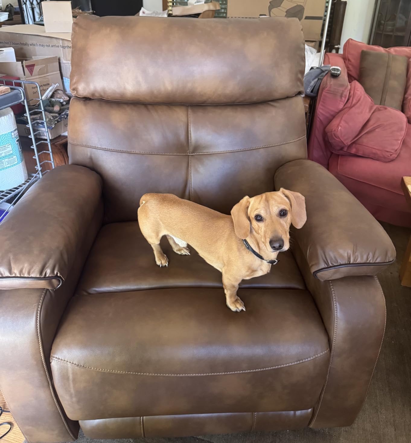 Dual Motor Power Lift Recliner Chair for Adult & Elderly, Leather, Beige | Infinite Position Lay Flat Lift Chair with Heat & Massage, Cup Holder, Lumbar Pillow, Wireless Charger, USB Ports, Leather customer photo 2