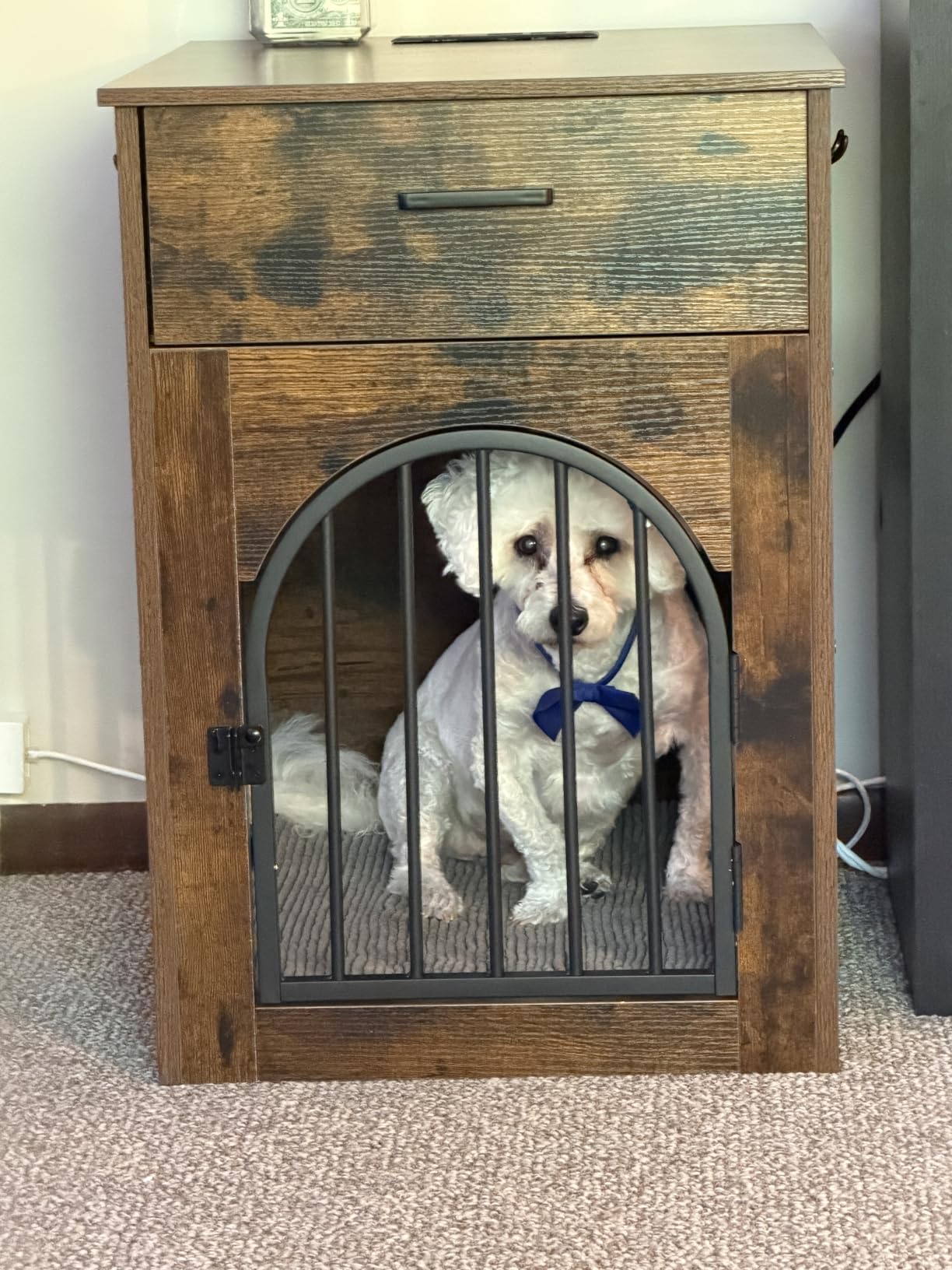 CHOEZON Dog Crate Furniture, Wooden Dog Kennel with Charging Station and Storage Drawer, Indoor Pet Crate End Table for Small Breeds, Dog Cage for Living Room, Bedroom, White and Walnut MGW01UWL customer photo 2