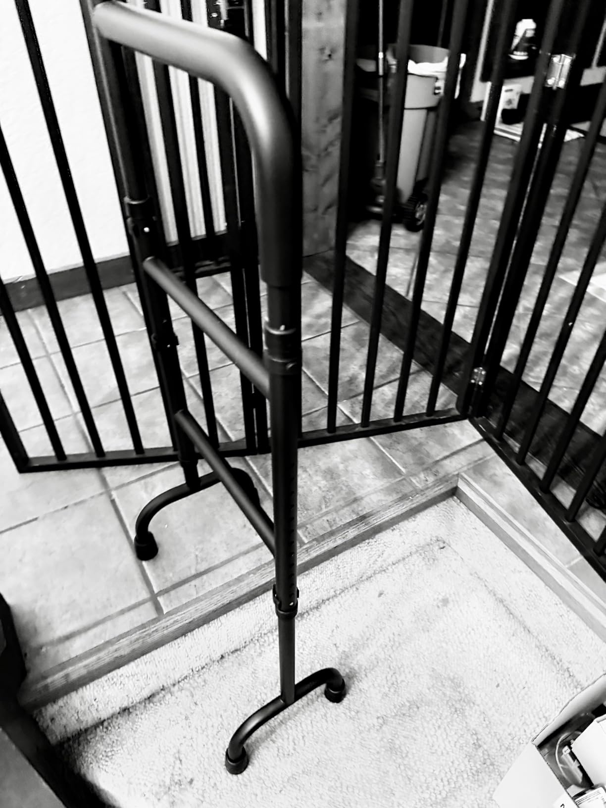 20-Level Adjustable Stair Climbing Assist Cane & Elderly Stair Lift Assist with Anti-Slip Handle & Stabilizing Feet, Standard Steps - Patent Pending customer photo 1