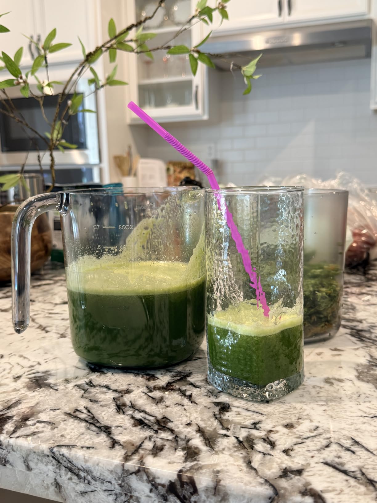 Nama J2 Cold Press Juicer - Self Feeding for Hands-Free Operation with Wide Mouth Hopper for Whole Recipe Loading, Zero Waste Masticating Juicer For More Juice, Less Pulp - Easy Cleanup & Assembly customer photo 2