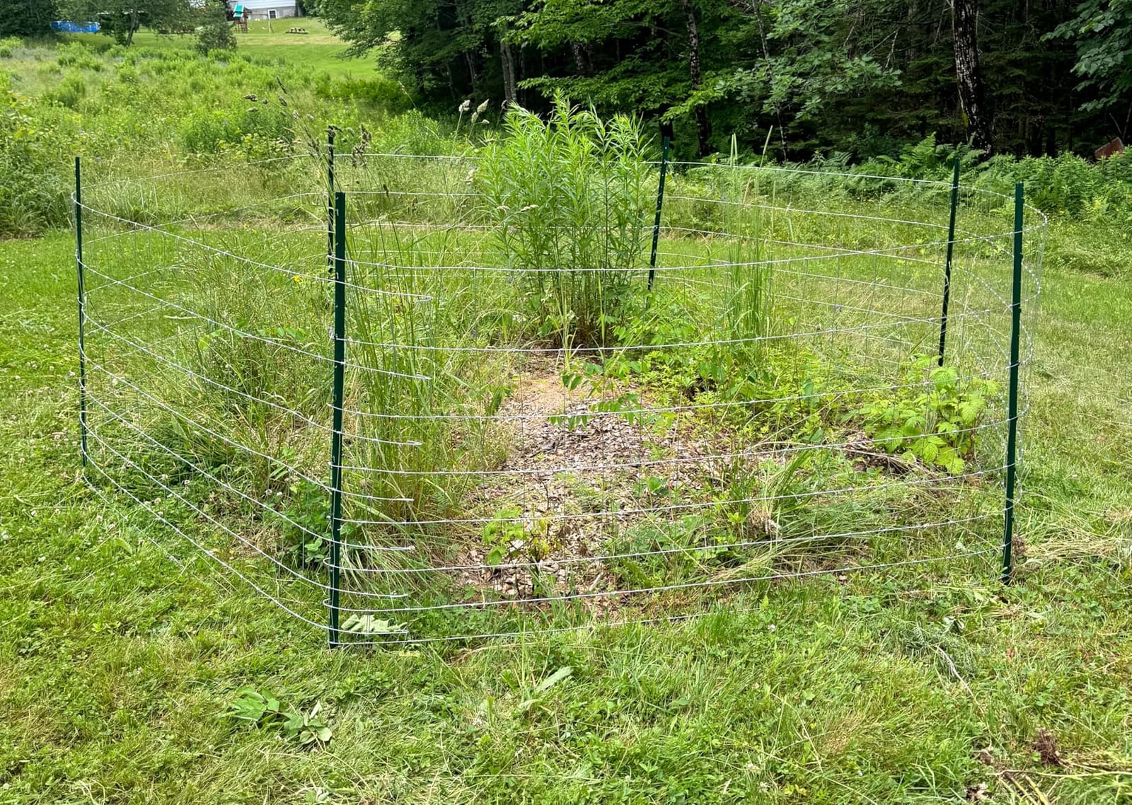 Farm Fence 6ft x 100ft Heavy Zinc Coating Field Wire Fencing, Galvanized Livestock Deer, Goat Fence, Hog Wire Fencing Used to Yard and Garden customer photo 1