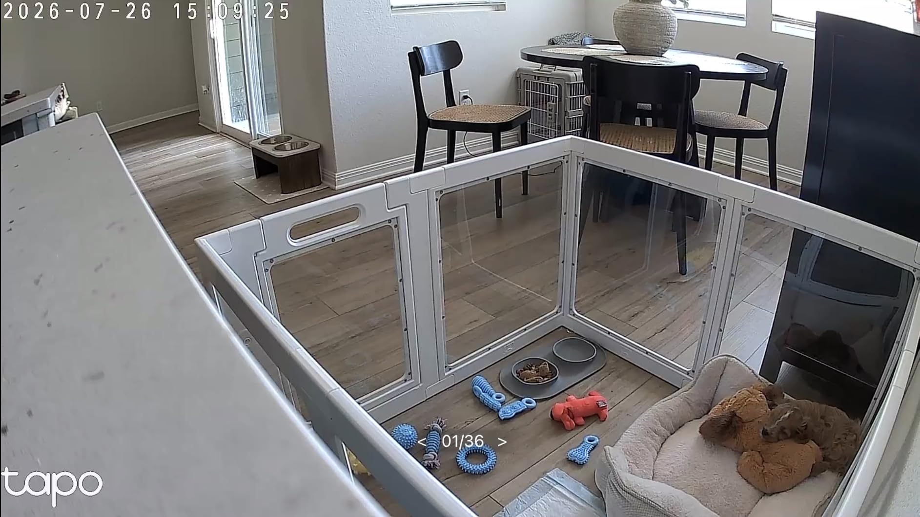 Clear Acrylic Dog Playpen Indoor, Puppy Cat Small Pet Play Pen, Pet Cat Playpen for Rabbits, Dog Fence Crate Kennel Whelping Cage (24