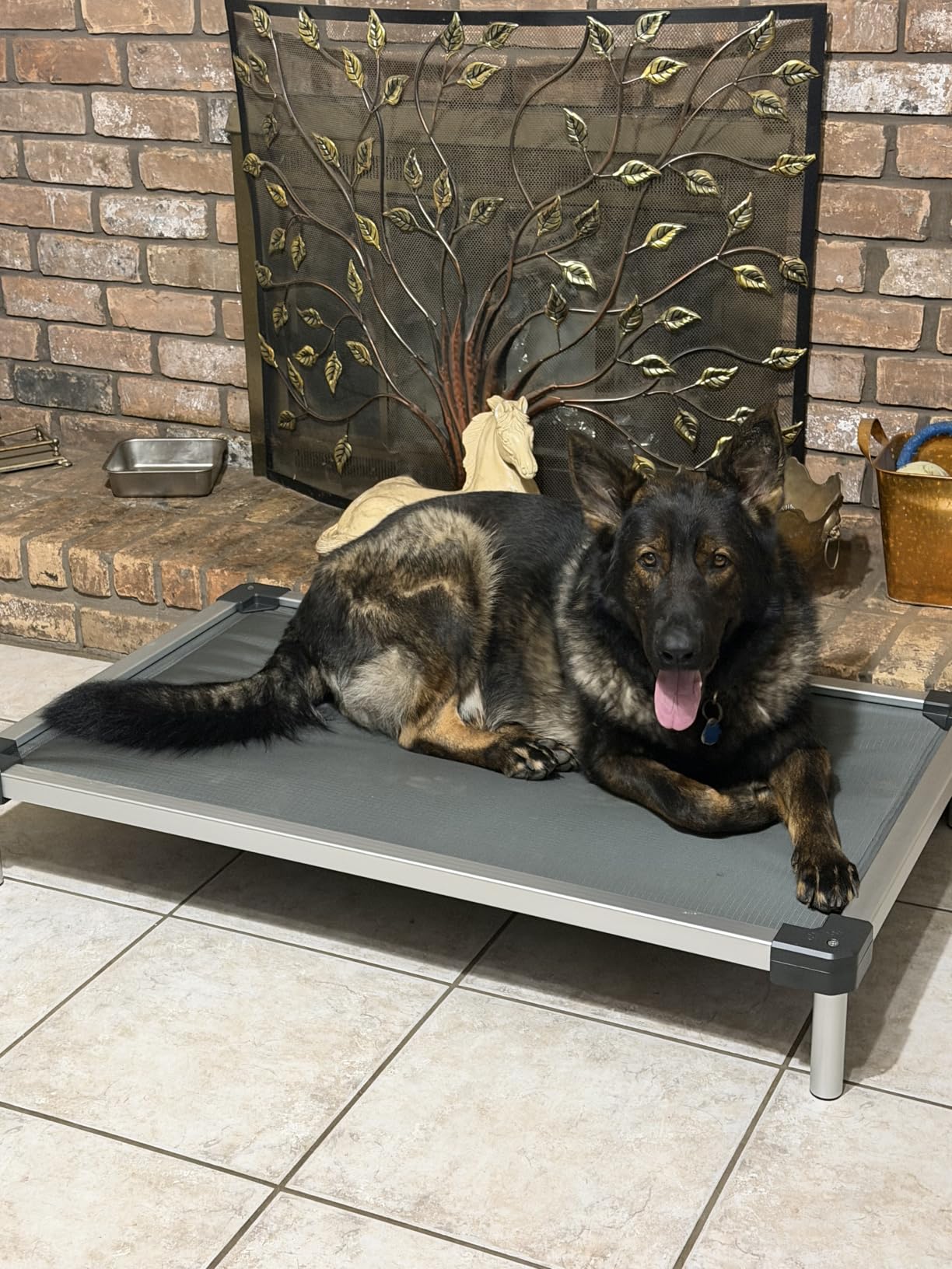 FXW TitanNest Padded Chew-Proof Elevated Dog Bed for Large Dogs, Easy to Clean, Pre-assembly Raised Cot, Indoor/Outdoor/Camping, 47 x 29 x 7.3in customer photo 2