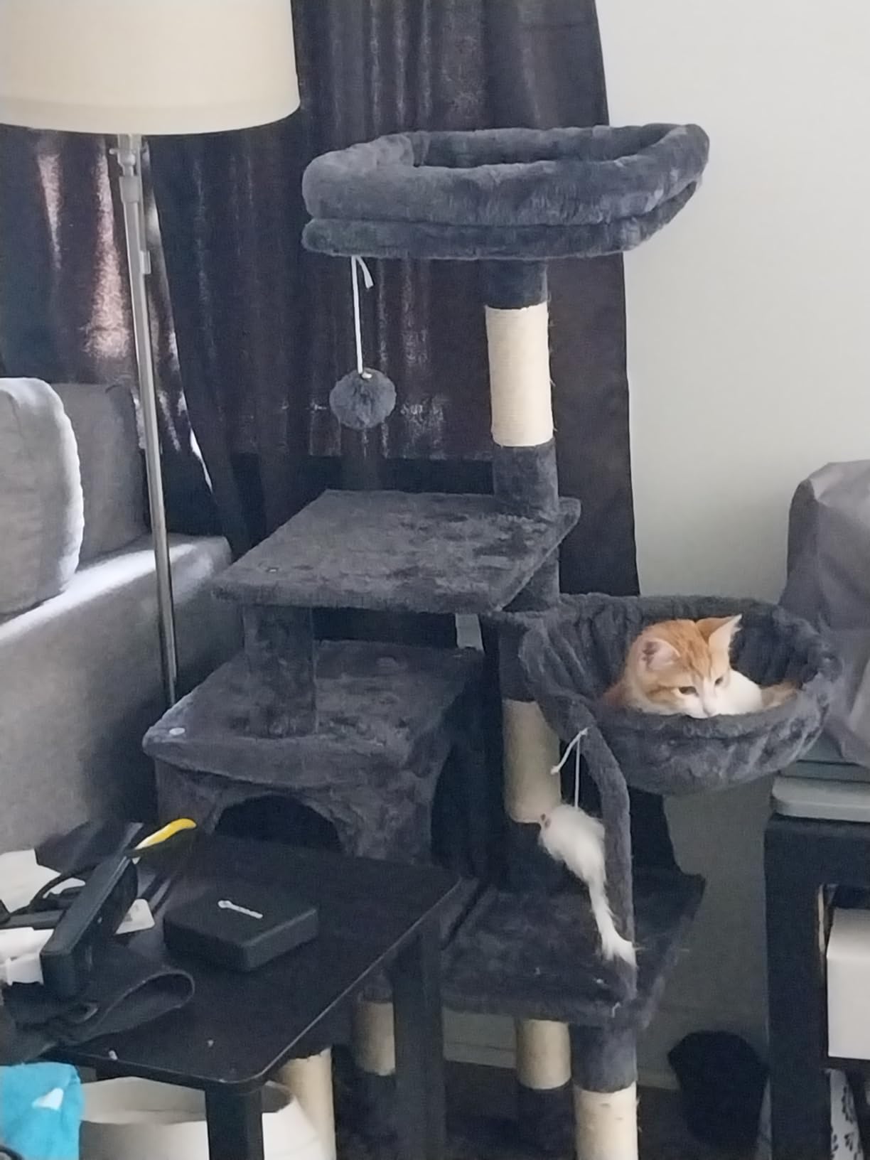 Heybly Cat Tree with Toy, 49.2 inch Cat Tower for Indoor Cats HCT200SG | Spacious Cat House Condo with Hidden Space, Soft Plush Top Perch, Cozy Hammock and Sisal Scratching Posts, Smoky Gray customer photo 1
