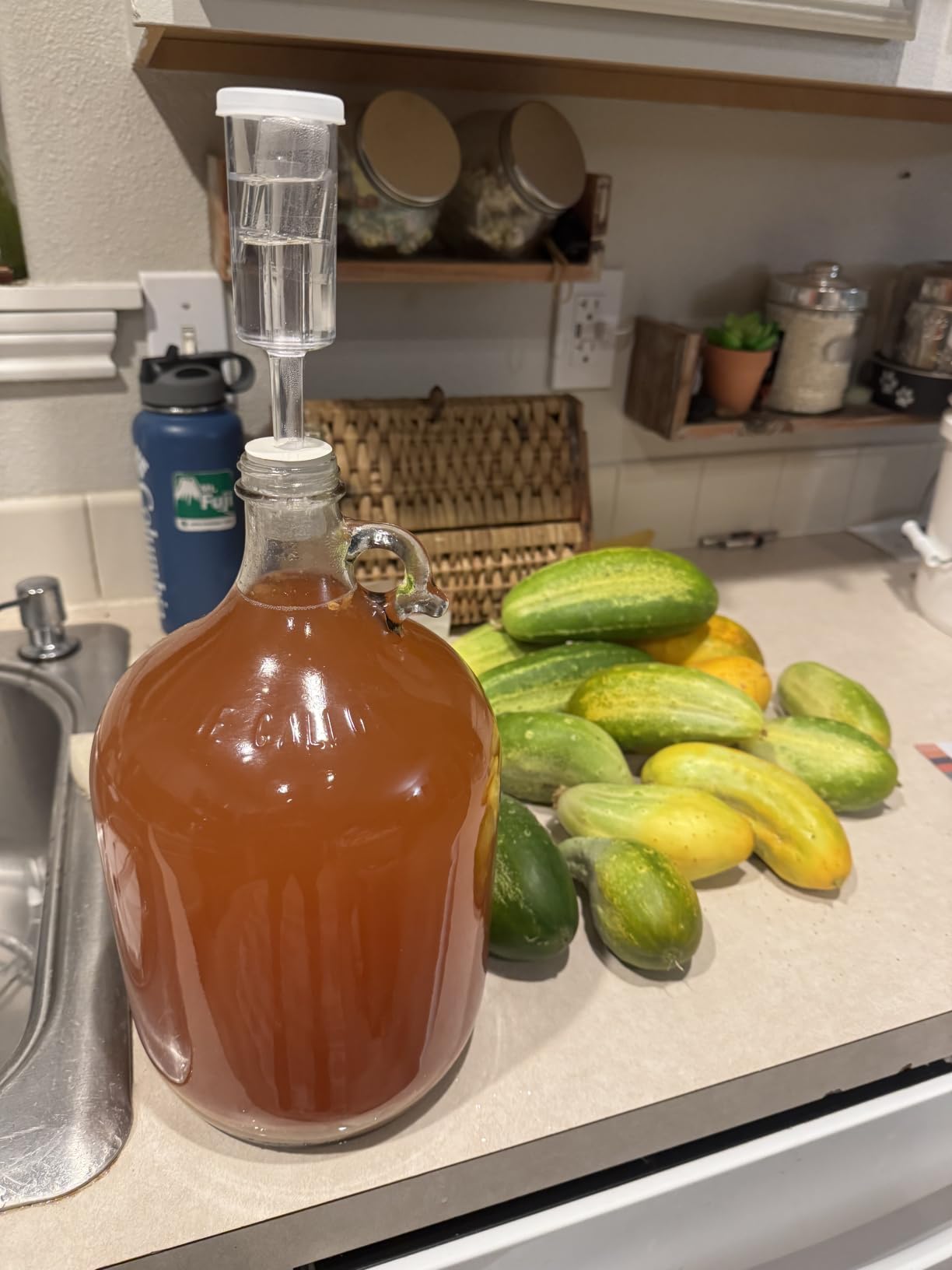 Wine Making Kit & Mead Making Kit - Complete Home Brewing Kit for Beginners & Experts - Includes Glass Carboy, Fermenter, Hydrometer, Siphon, Airlock & More - DIY Wine Brewing Equipment customer photo 1