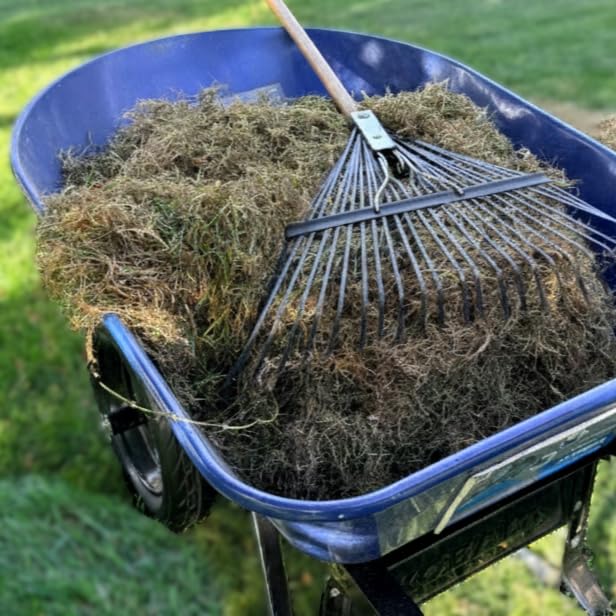 Sun Joe Corded Dethatcher & Scarifier with 13.2-Gal Bag, AJ808E | 15-Inch Cutting Width, 15-Amp Motor - Heavy-Duty Yard Trimmer Machine for Gardening Care and Lawn Maintenance customer photo 1