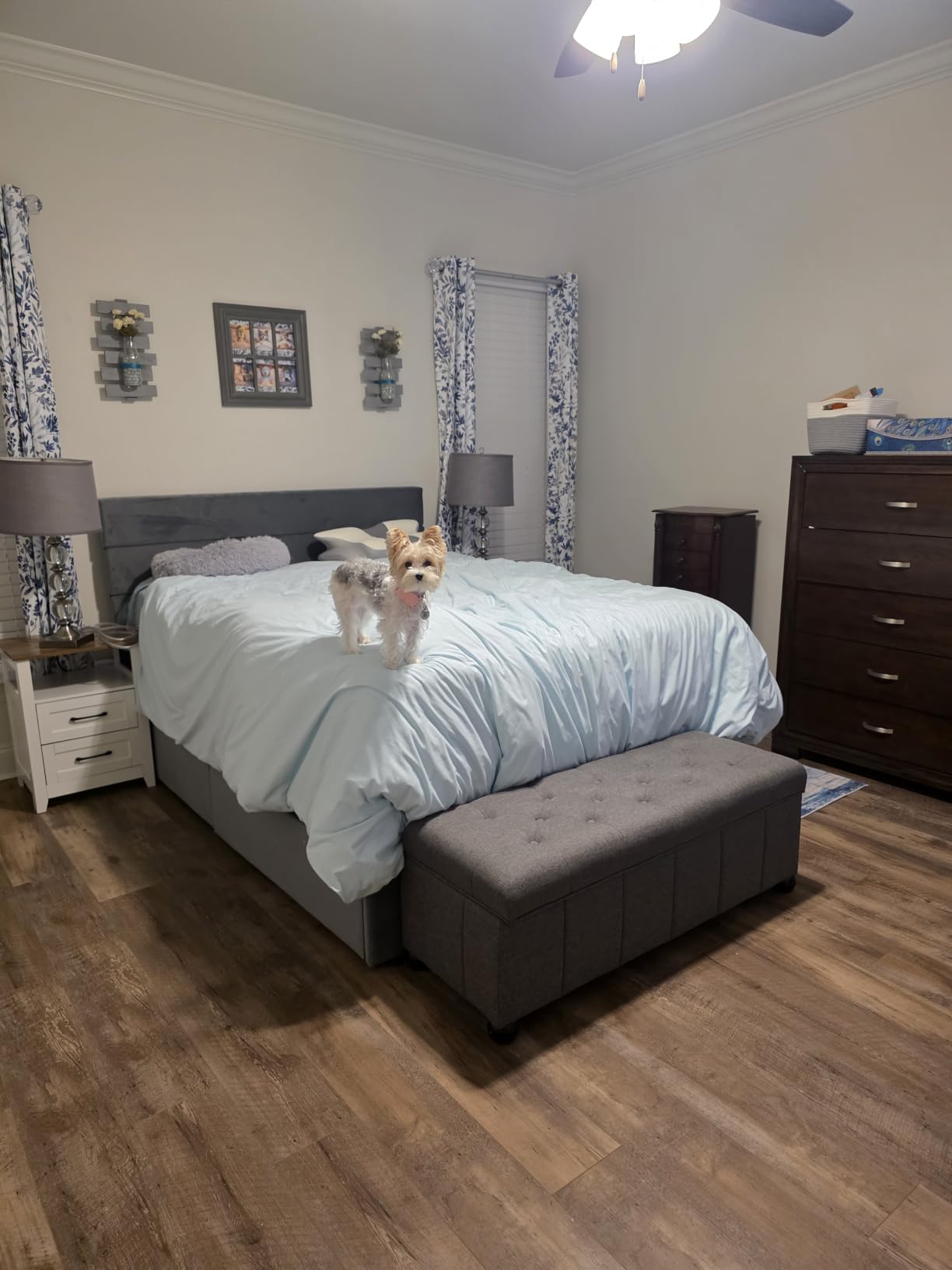 Allewie Modern King Size Platform Bed Frame with 4 Storage Drawers | Velvet Upholstered Headboard, Wooden Slats Support, Upholstered Mattress Foundation/No Box Spring Needed/Easy Assembly, White customer photo 1