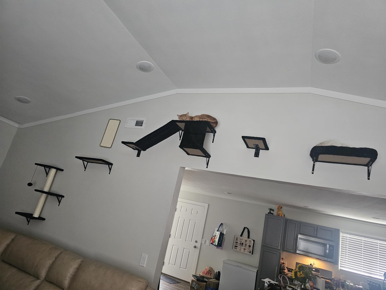 Cat Wall Shelves, Stable & Safe 6 in 1 Cat Furniture Set Black, for Cats to Climb, Hide, Lounge, and Scratch customer photo 1