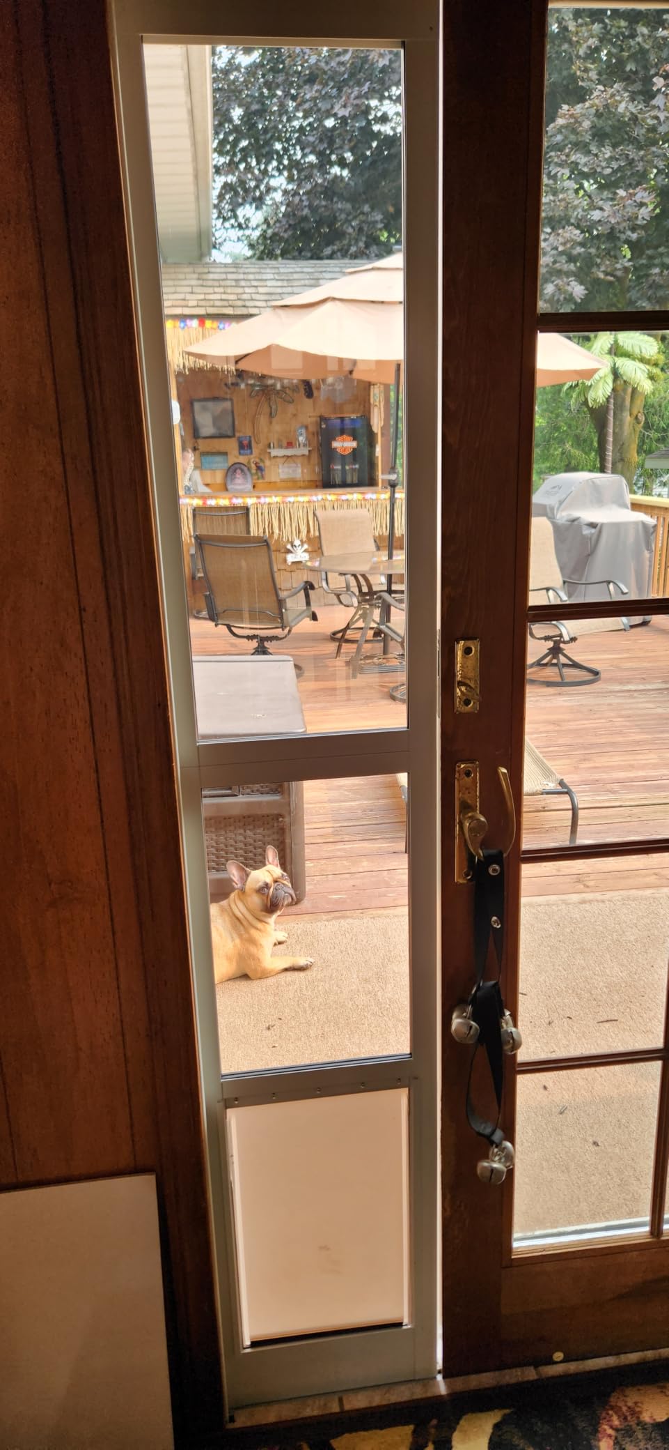 Doggy Door for Sliding Glass Door for Small Doggies Up to 25 lbs | Adjustable Height 75 4/5