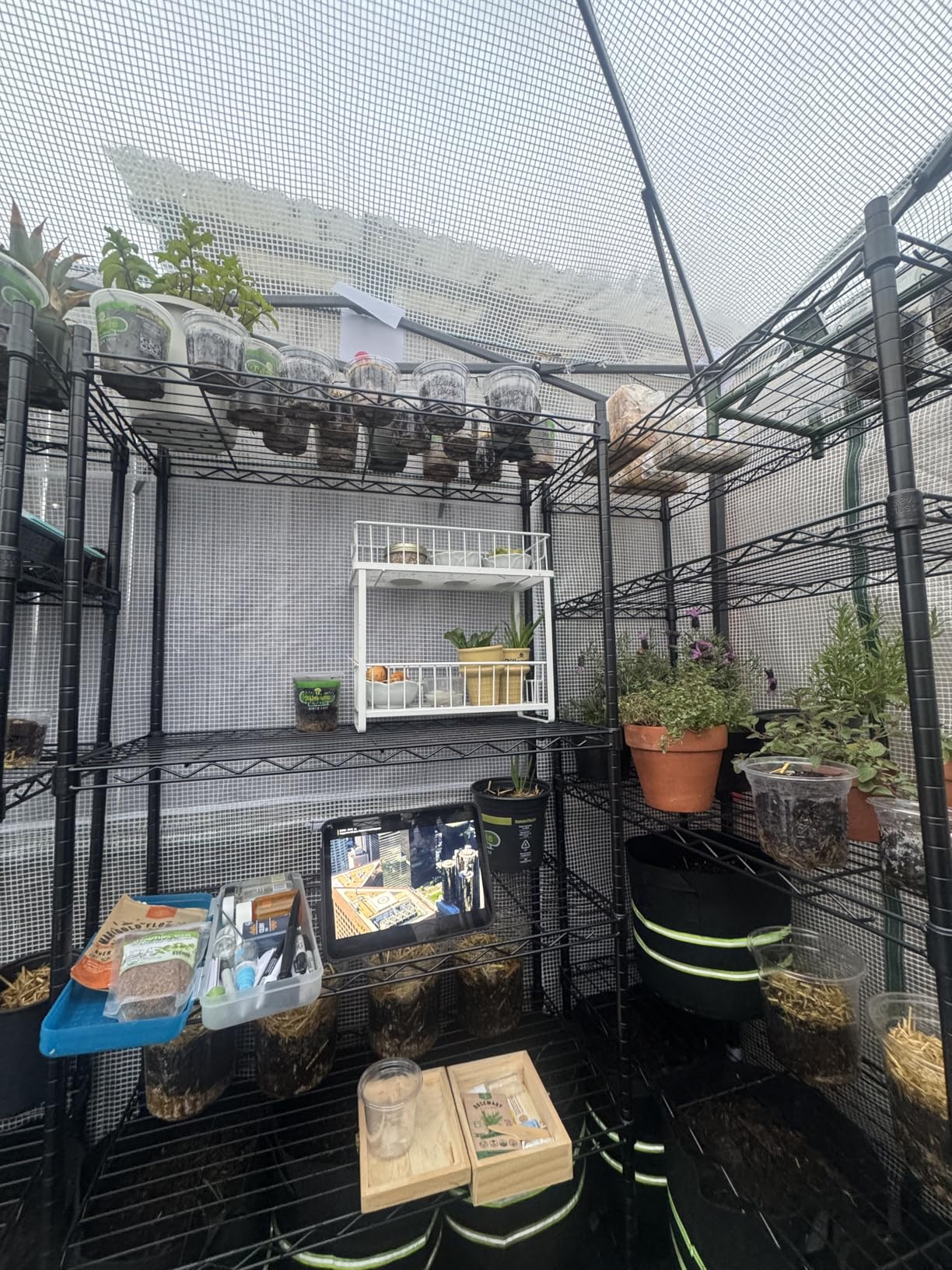 EAGLE PEAK 9x4 Easy Setup Pop Up Greenhouse, Lean-to Design, Clear/White | Walk-In Greenhouses for Outdoors, Green House for Winter Protection, Roll-Up Door & Mesh Windows, One Person Setup customer photo 1
