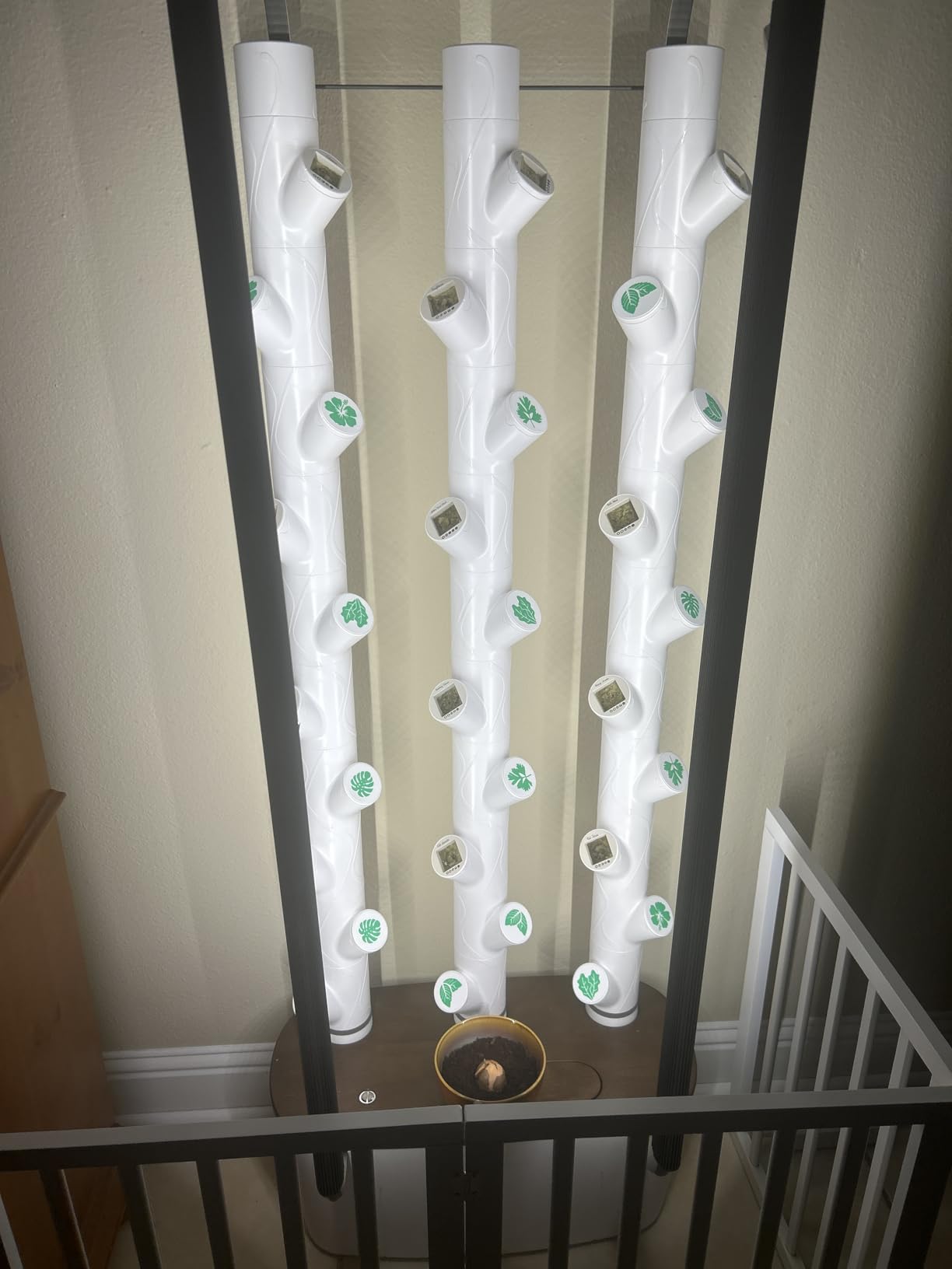 Gardyn Home 4 Vertical Hydroponics Growing System Kit - 30 Plants | AI-Powered Smart Garden with LED Grow Lights. Grow pesticide-free, non-GMO greens & veggies at home-safe, recall-free customer photo 2
