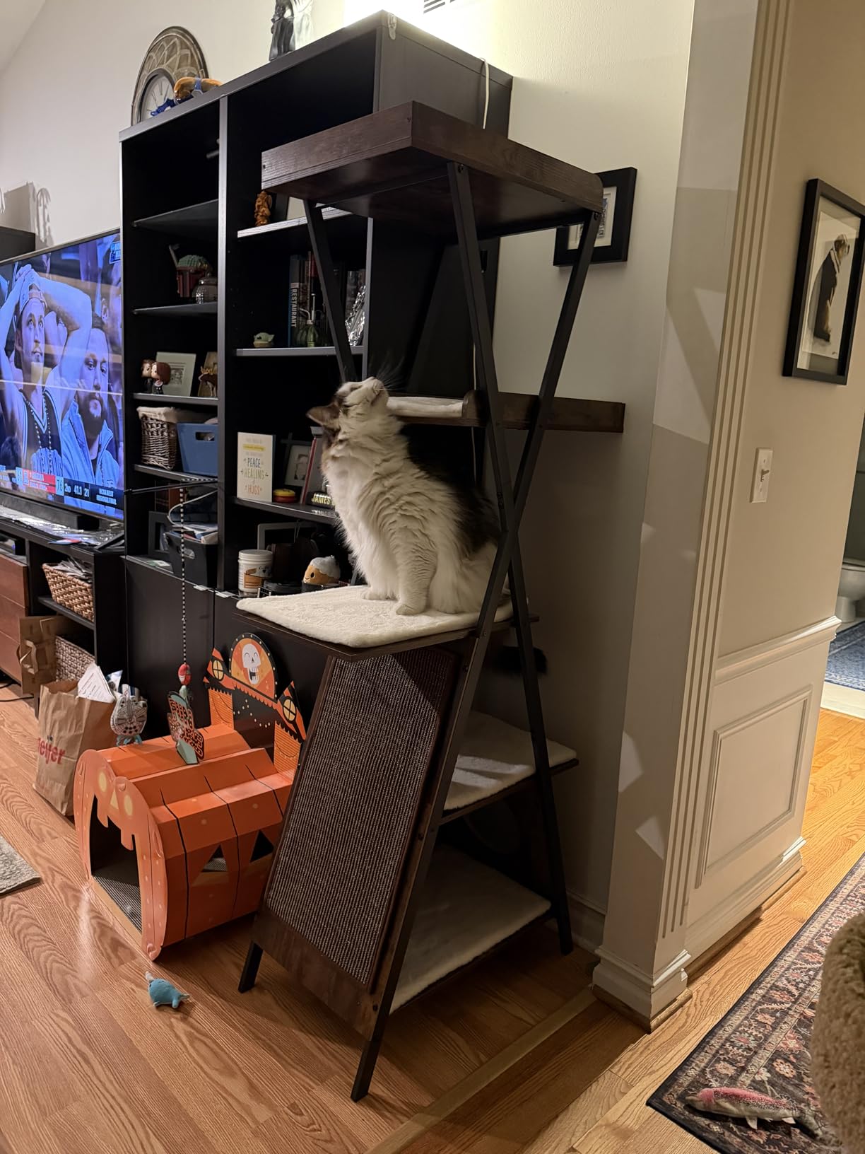 Modern Wood Cat Tree Tower for Indoor Cats Large Adult 67-in Tall | Heavy Duty XL Stable Wooden Cat Condo House Furniture with Multi-Level Spacious Perch Scratching Board Soft Washable Pads customer photo 1