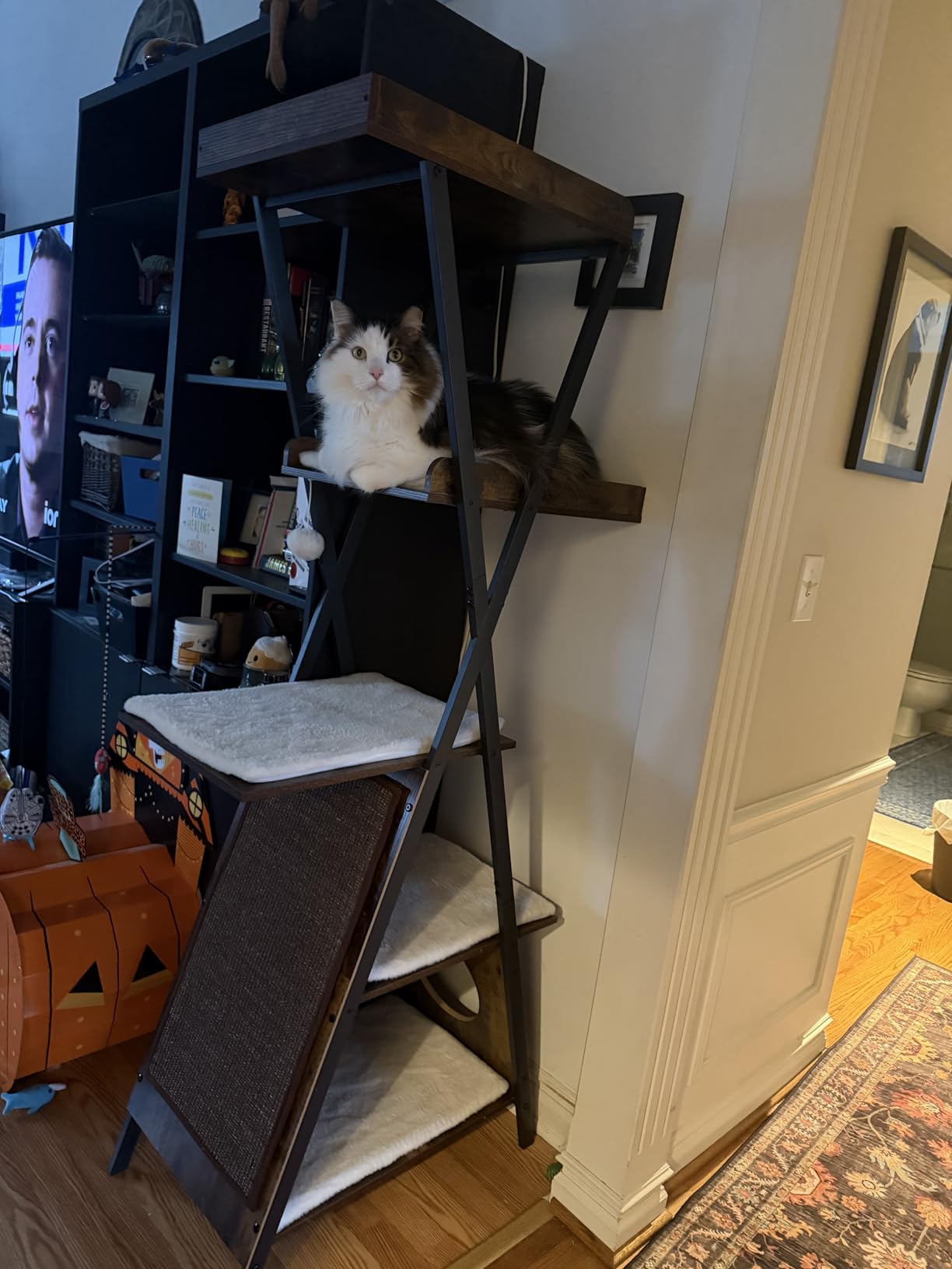 Modern Wood Cat Tree Tower for Indoor Cats Large Adult 67-in Tall | Heavy Duty XL Stable Wooden Cat Condo House Furniture with Multi-Level Spacious Perch Scratching Board Soft Washable Pads customer photo 2